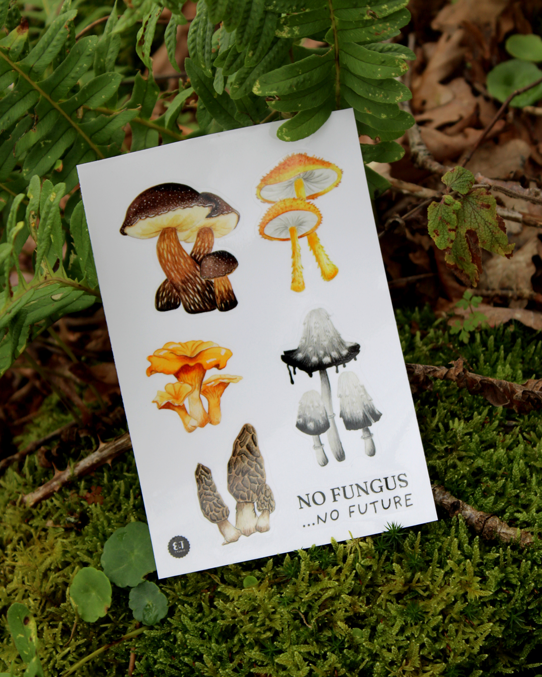 Planche de stickers - Champignons - No fungus, no futur