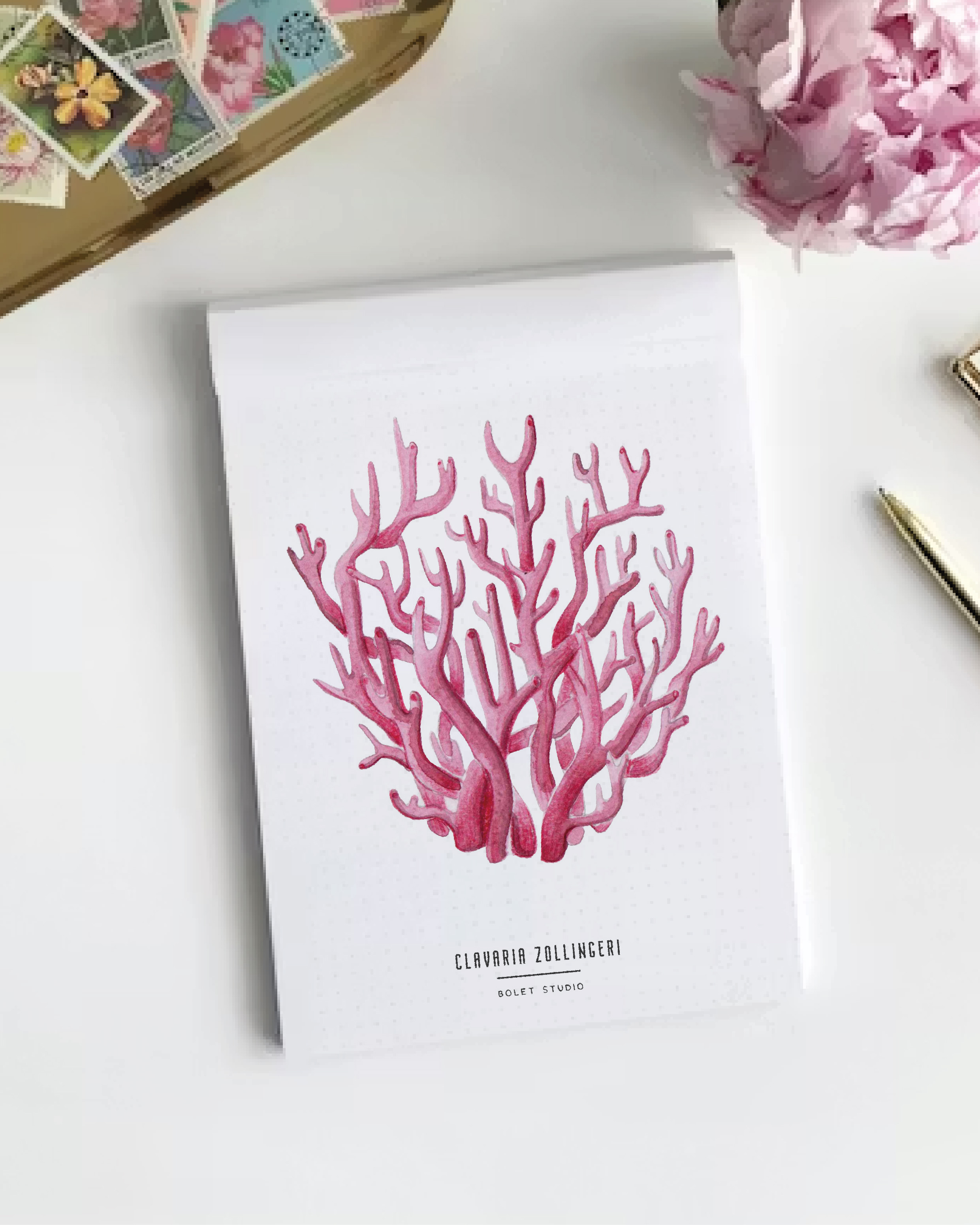 Carte postale champignons -  clavaria zollingeri