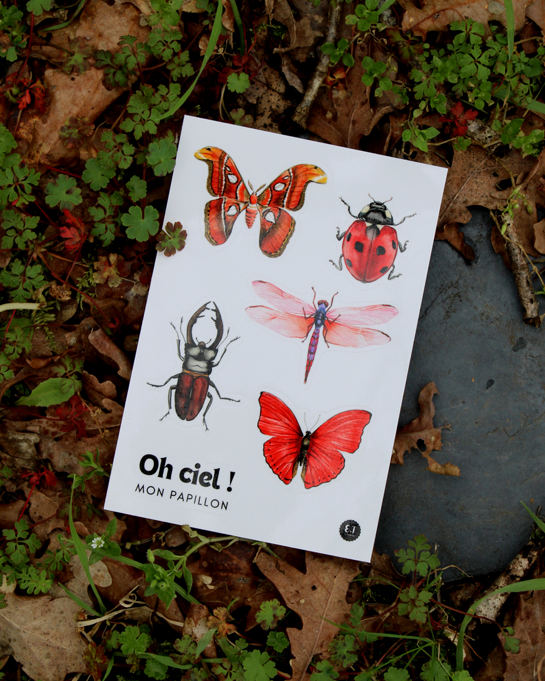 Planche de stickers - Insectes - Oh ciel ! Mon papillon