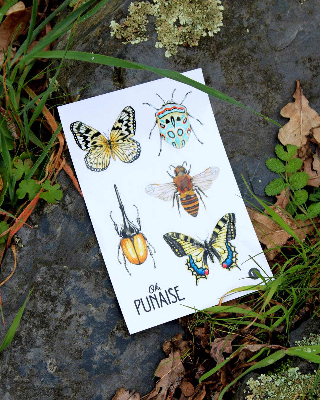 Planche de stickers - Insectes - Oh punaise !