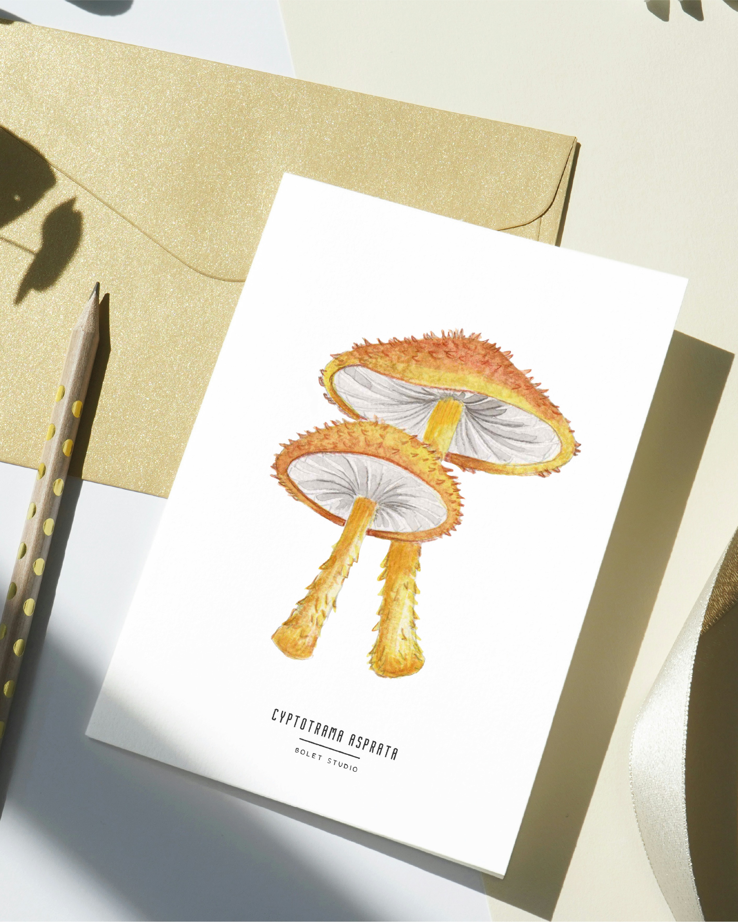 Carte postale champignons - cyptotrama asprata