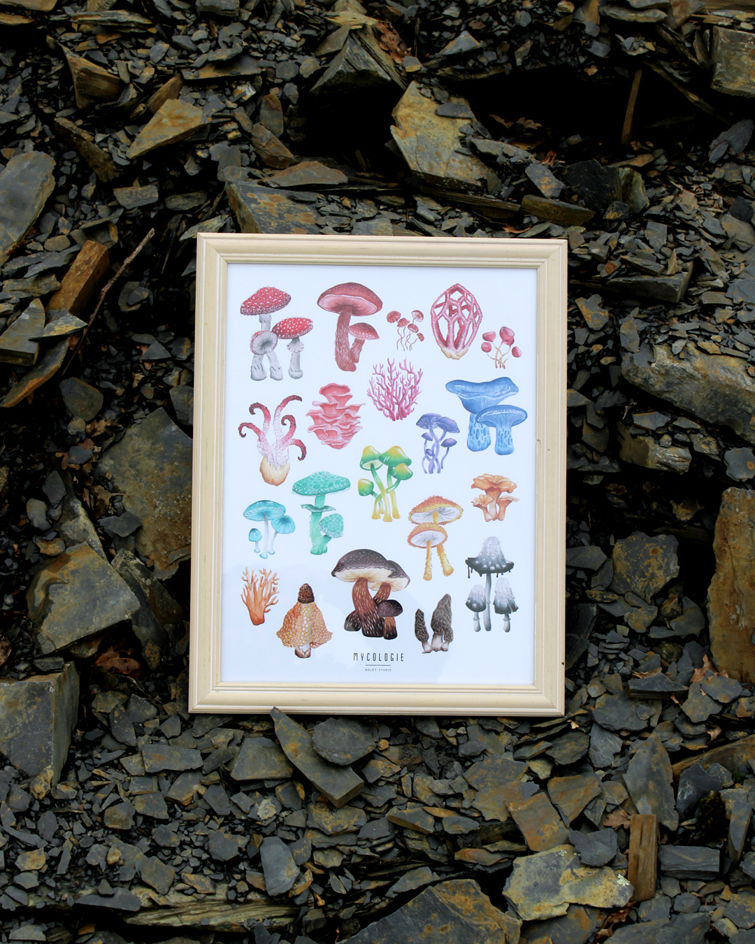 Affiche papier - Aquarelles champignons