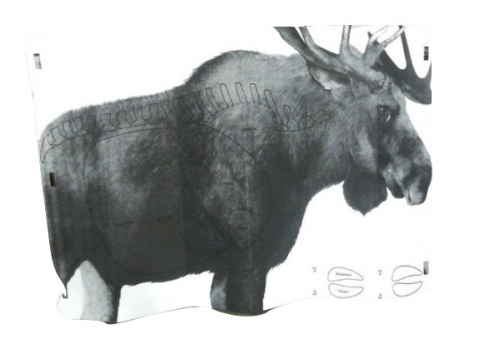 Išlankstomas Taikinys "Briedis" 150x100 Cm