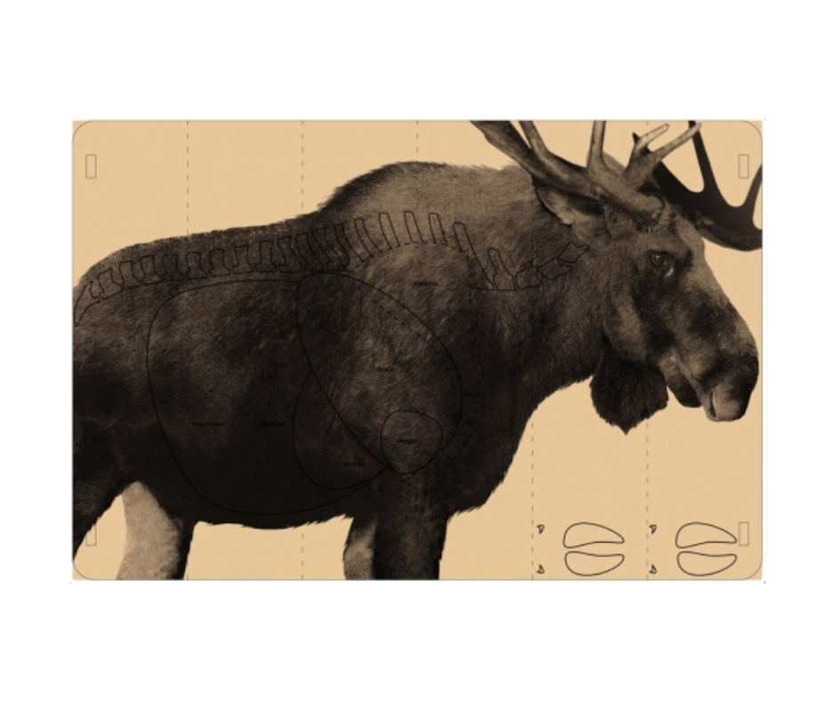 Išlankstomas Taikinys "Briedis" 150x100 Cm