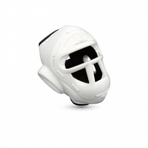 ŠALMAS KYOKUSHIN SU GROTELĖMIS