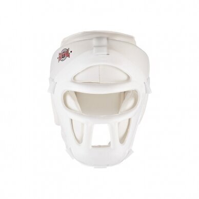 ŠALMAS KYOKUSHIN SU GROTELĖMIS