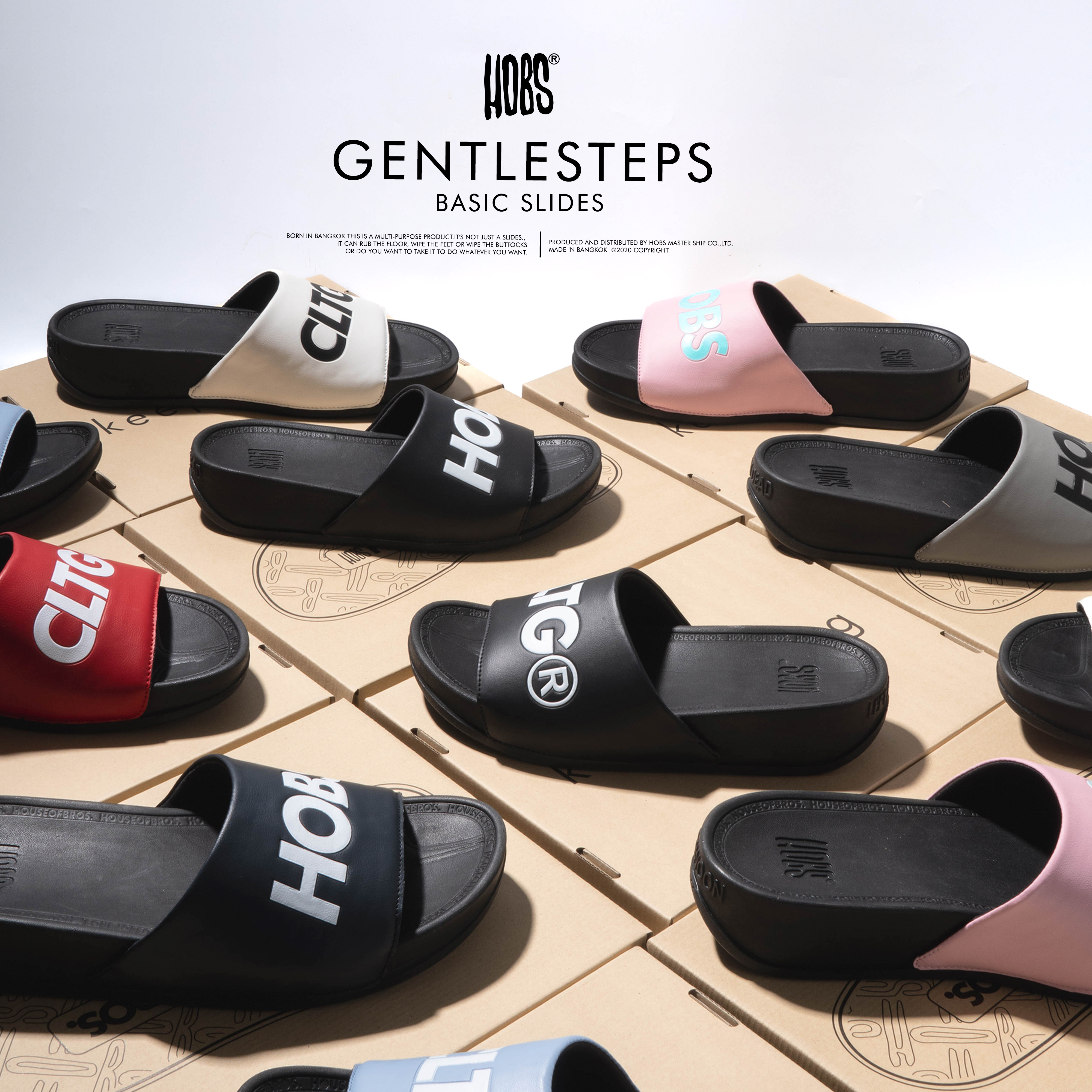 Gentlesteps Basic Slides