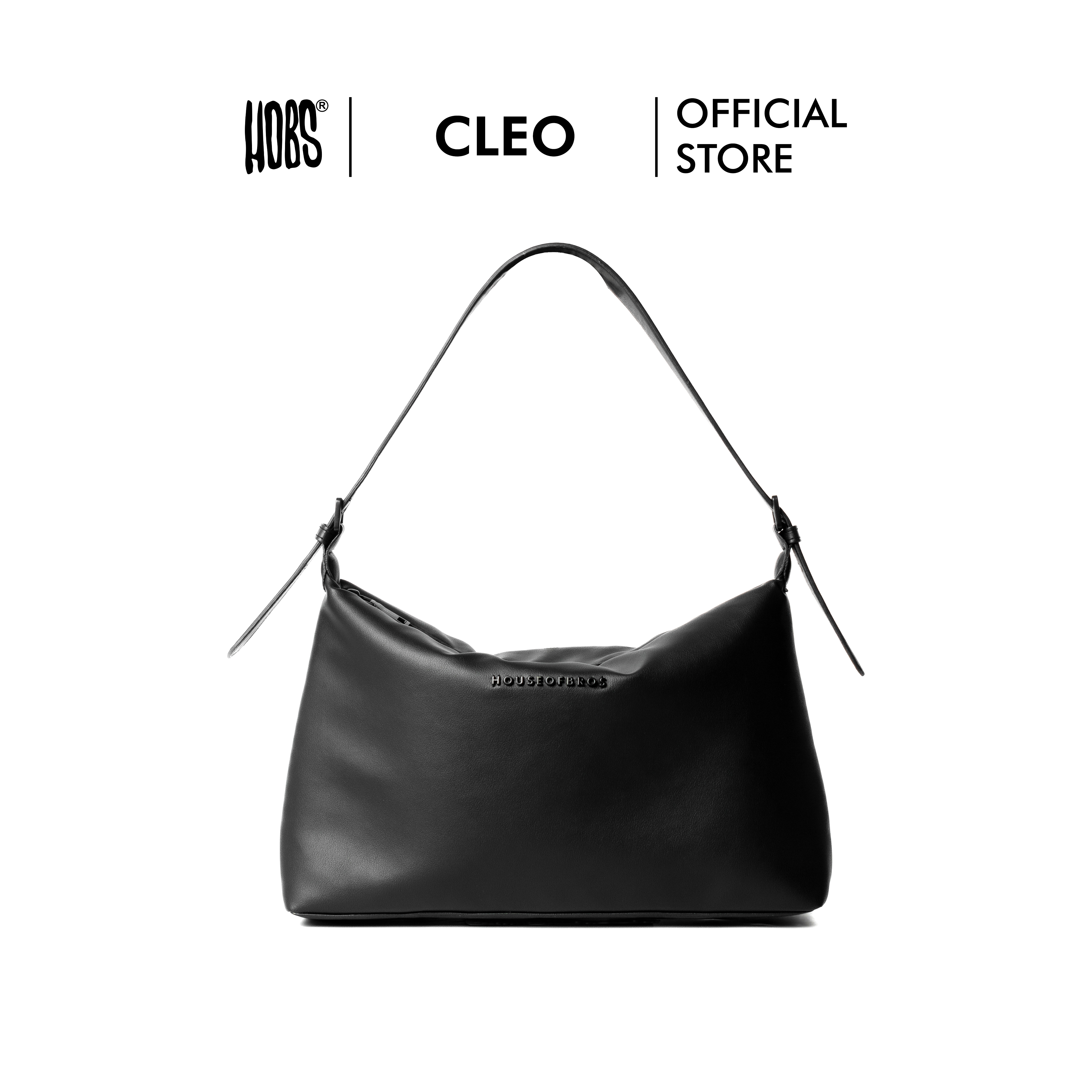 CLEO