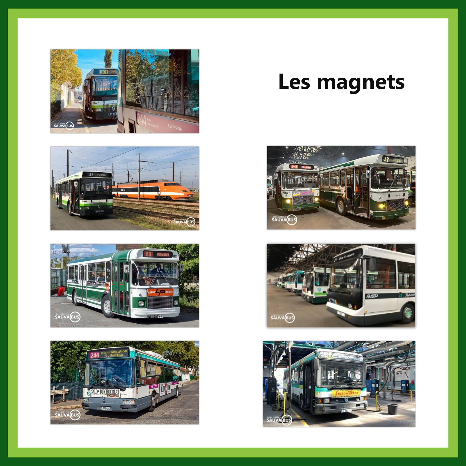 Magnet