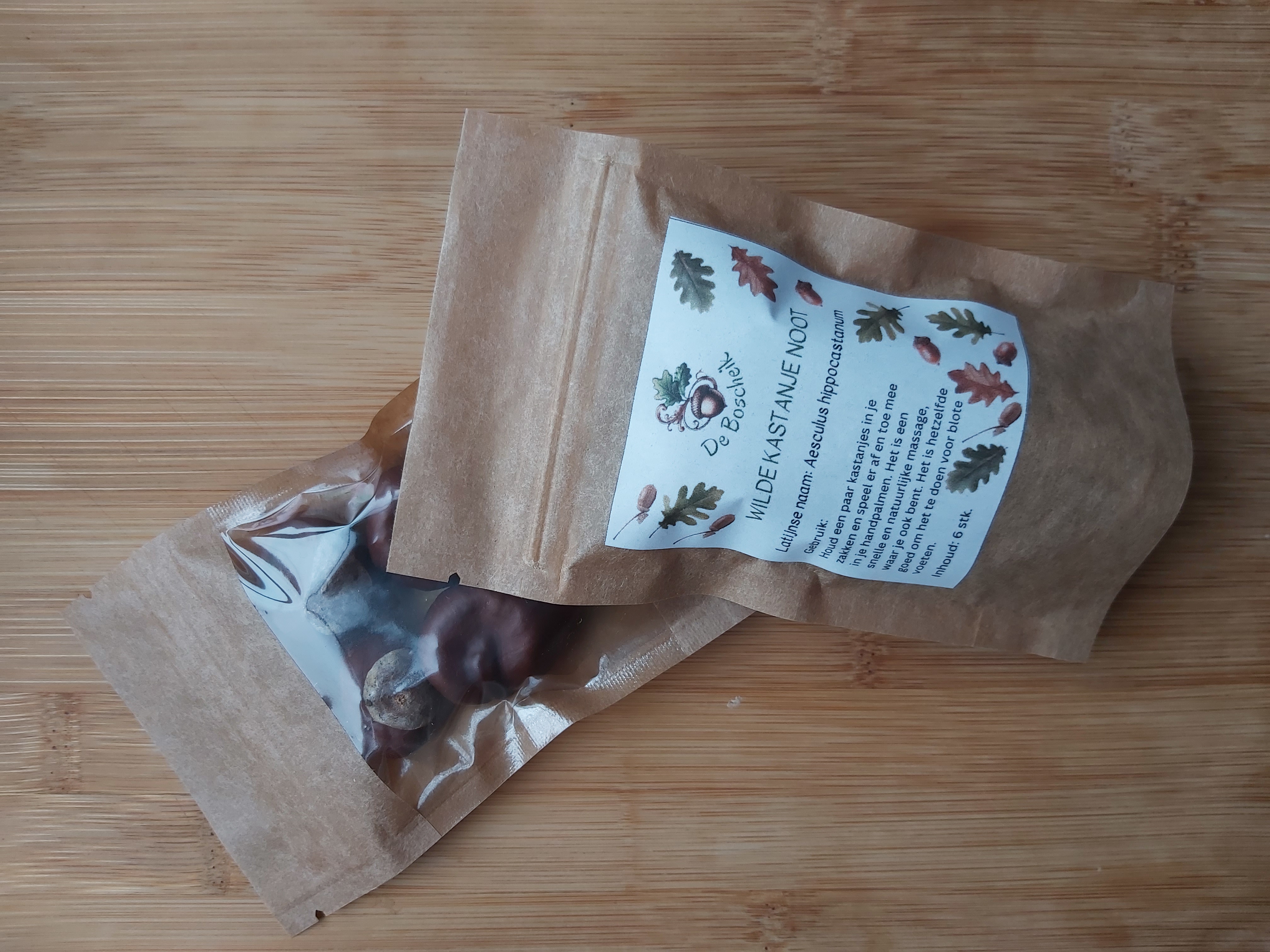 Wilde kastanje noot