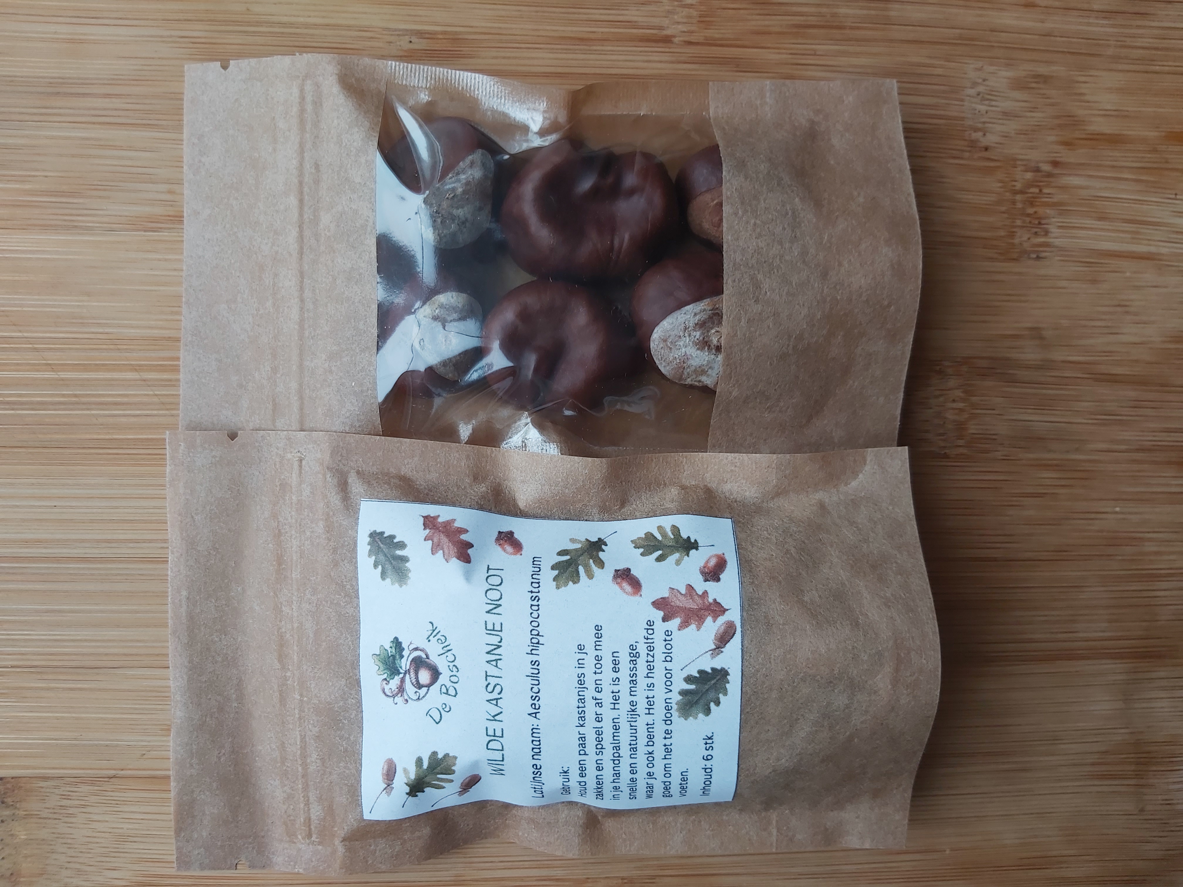 Wilde kastanje noot