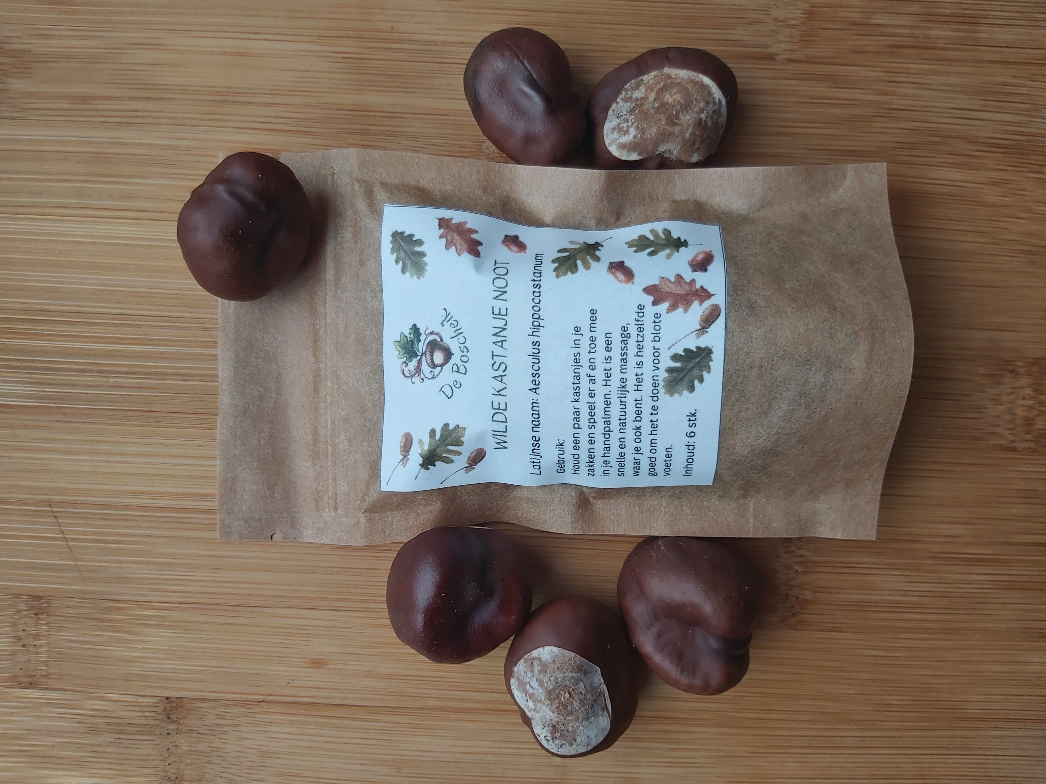 Wilde kastanje noot