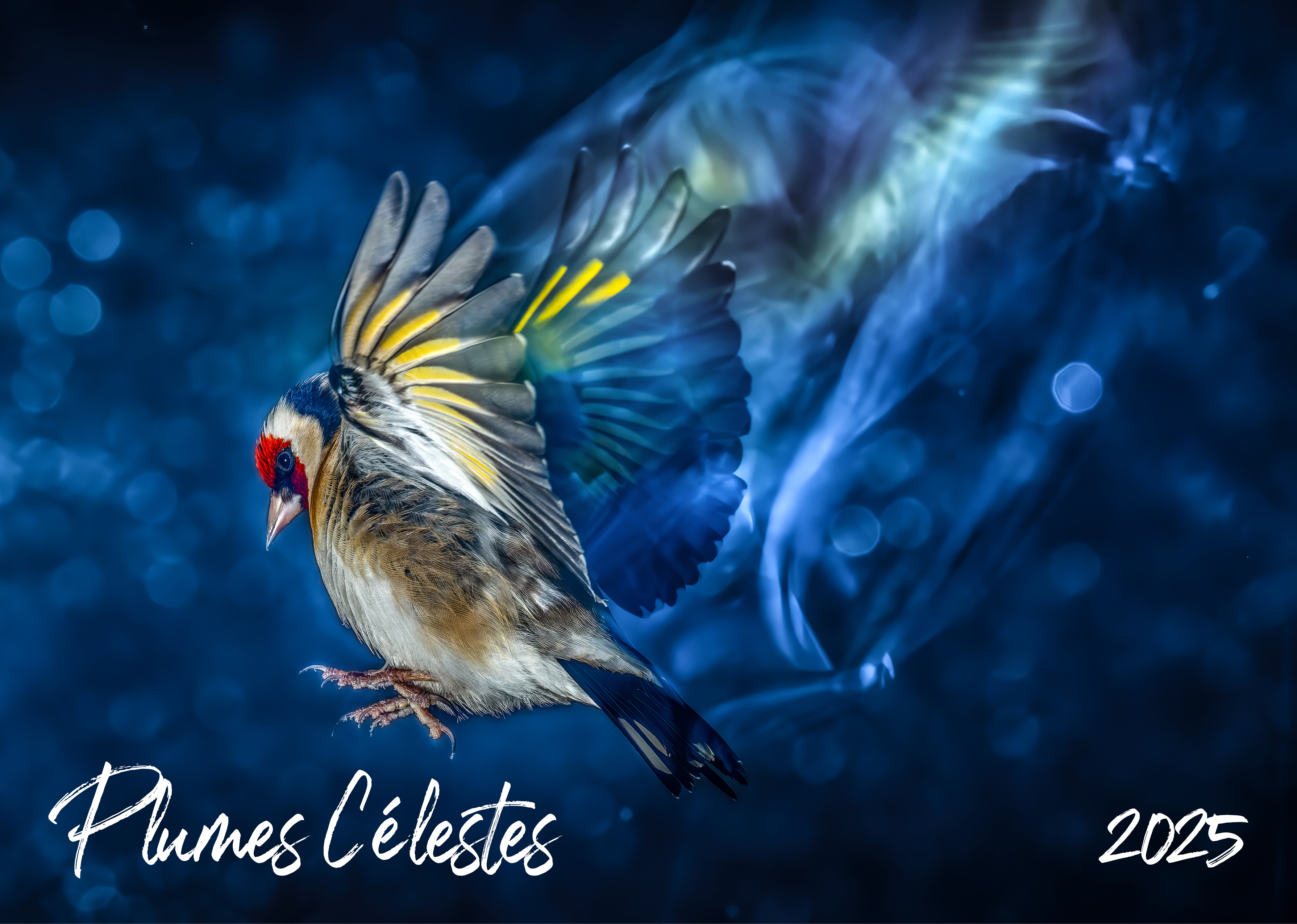 Calendrier 2025 "Plumes célestes"