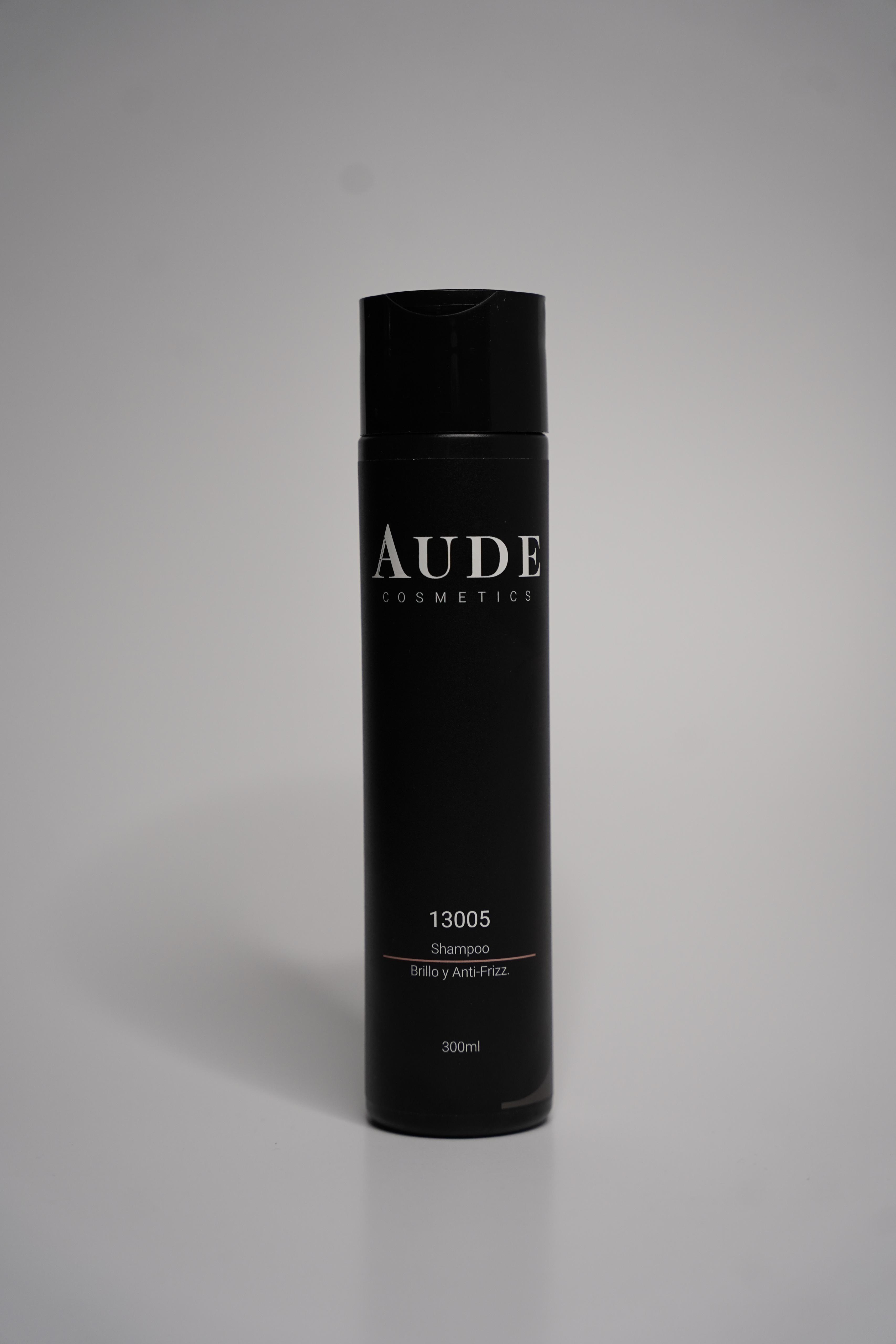 Champú Línea 13005 - Brillo y Anti-Frizz