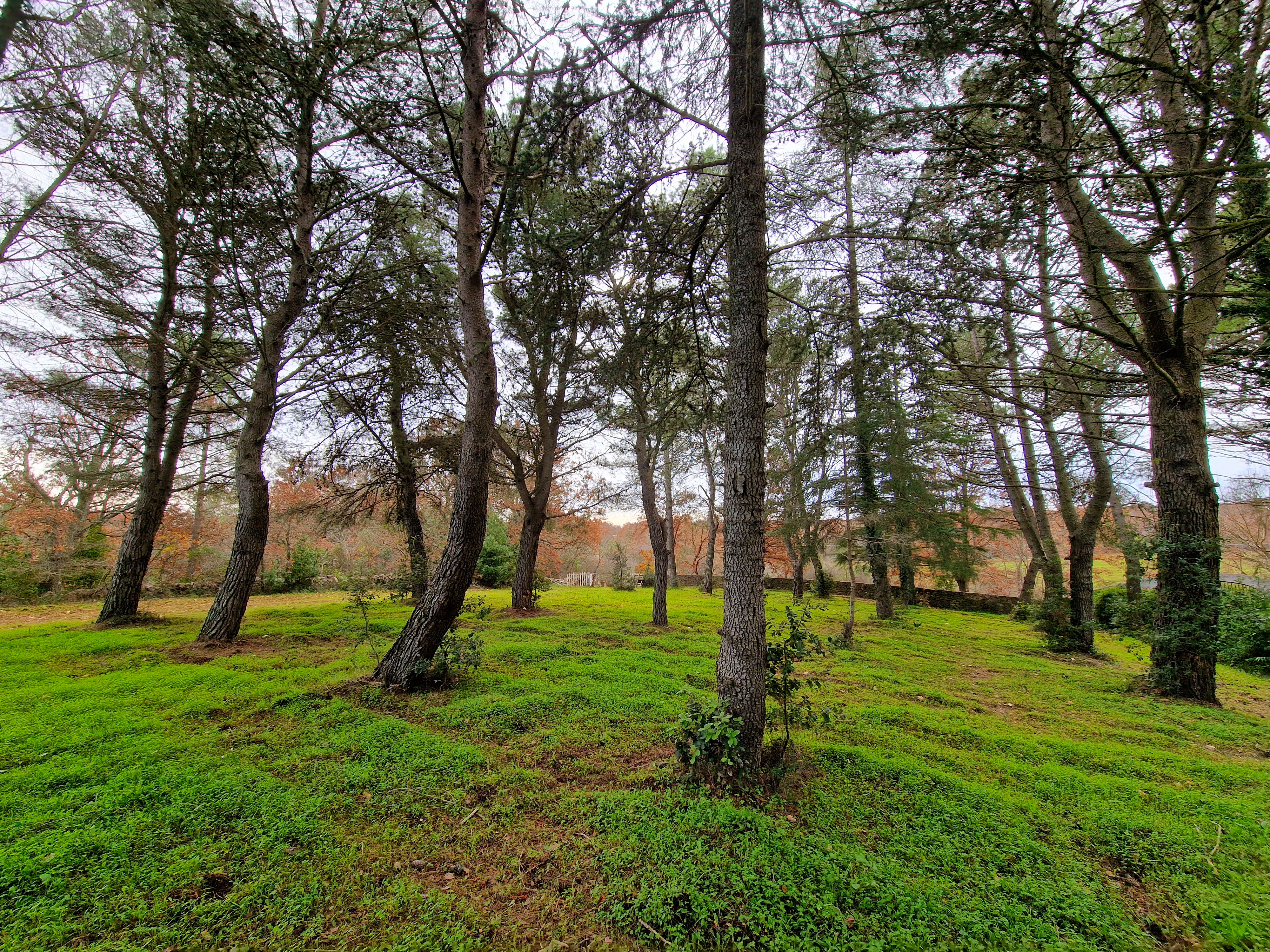 #06 Villa @Martina Franca [Privat]