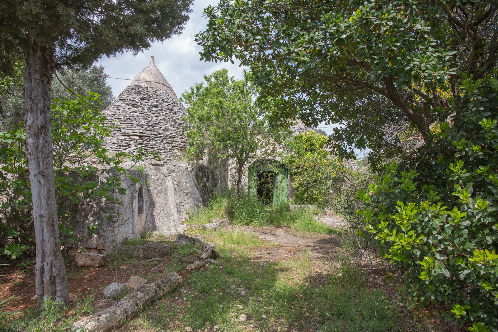 #14 Trulli @Ceglie Messapica [Domas]