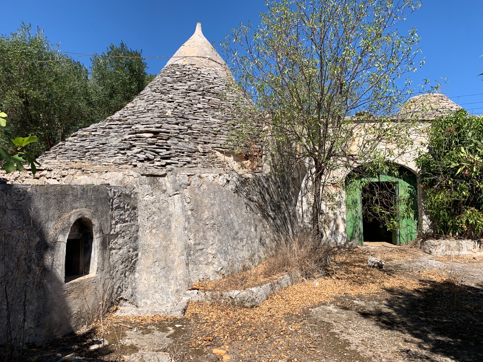 #14 Trulli @Ceglie Messapica [Domas]