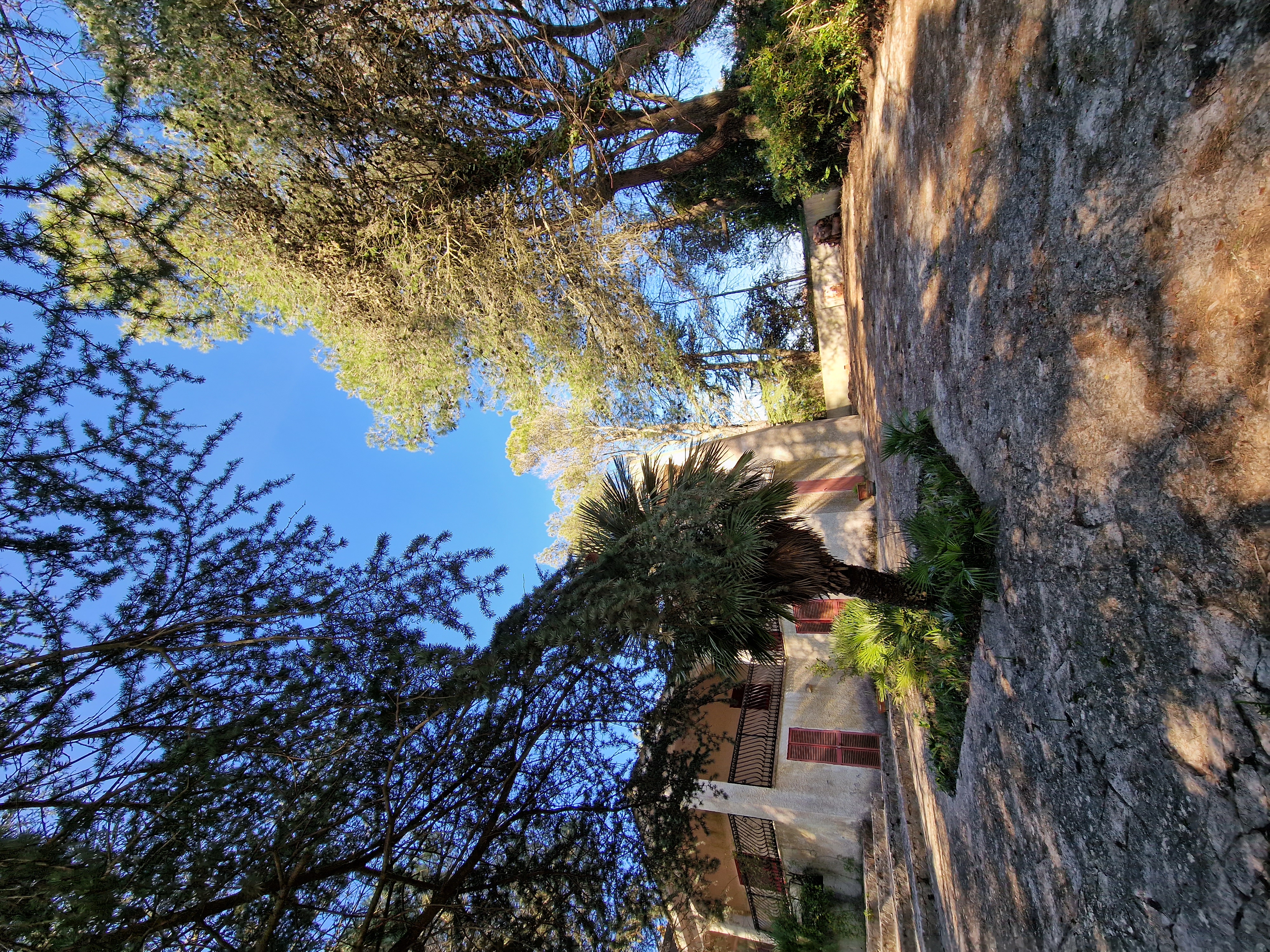 #06 Villa @Martina Franca [Privado]