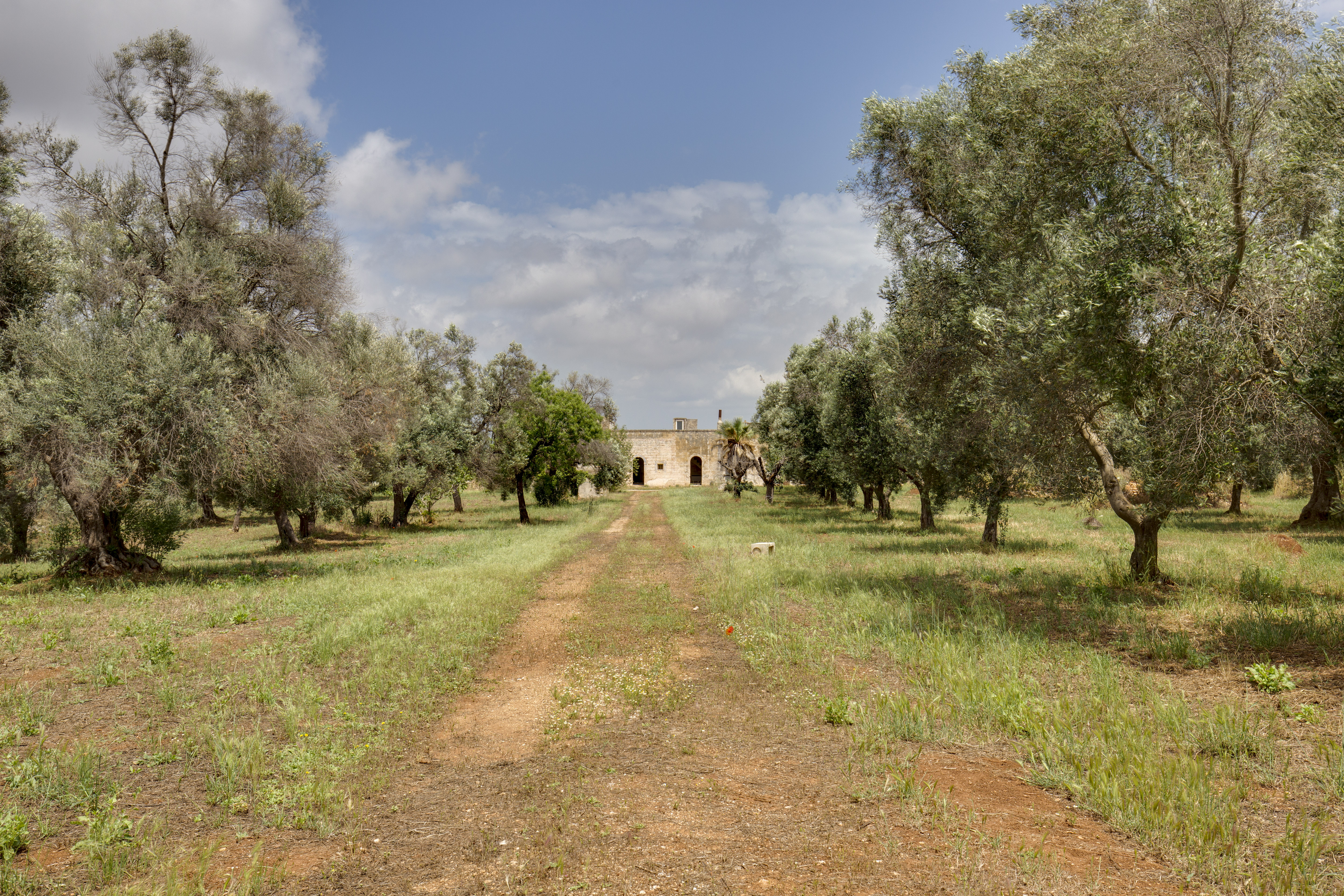 #35 Masseria @Ceglie Messapica [Domas]