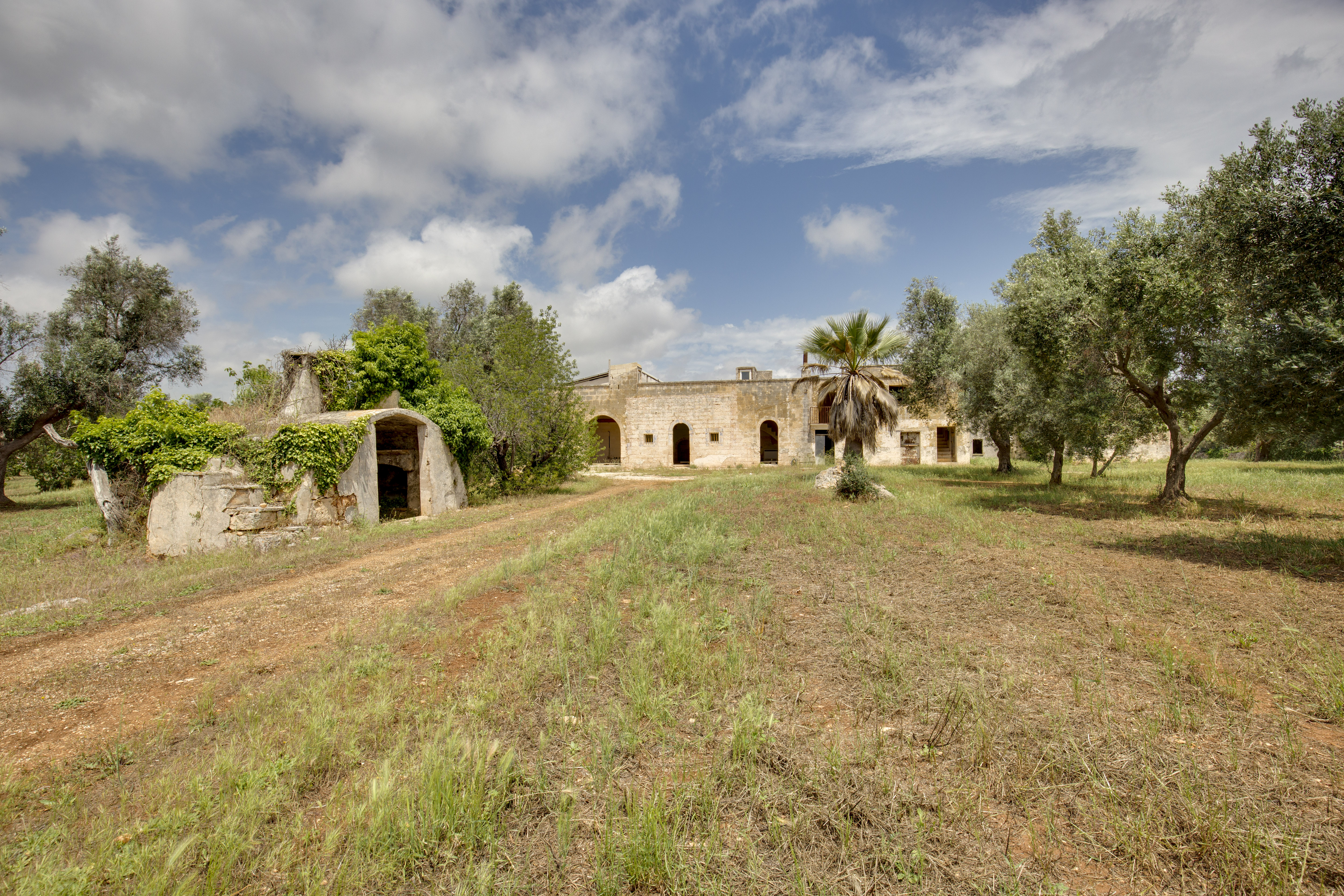 #35 Masseria @Ceglie Messapica [Domas]