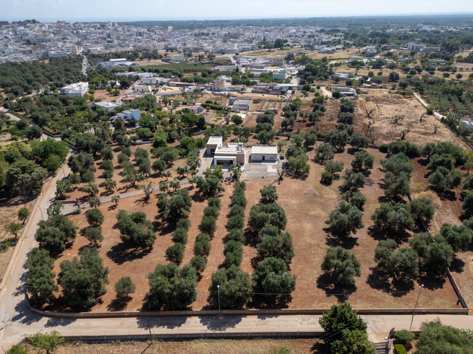 #29 Masseria @Carovigno [My Project Casa]