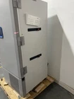 Thermo Fisher Scientific RLE series -80 Freezer RLE50086D