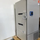 Thermo Fisher Scientific RDE Series -80 Freezer RDE50086FD