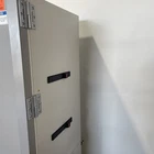 Thermo Fisher Scientific RDE Series -80 Freezer RDE50086FD