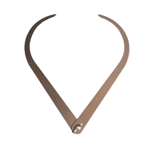 Stainless Steel Caliper