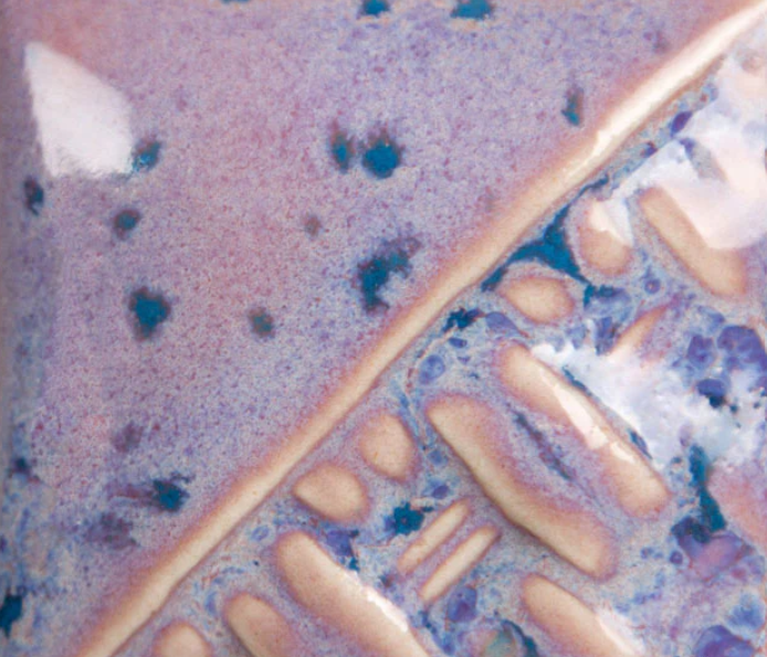 MAYCO - Purple Aster