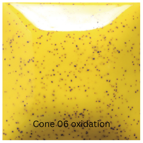 SP-206 SPECKLED Sunkissed