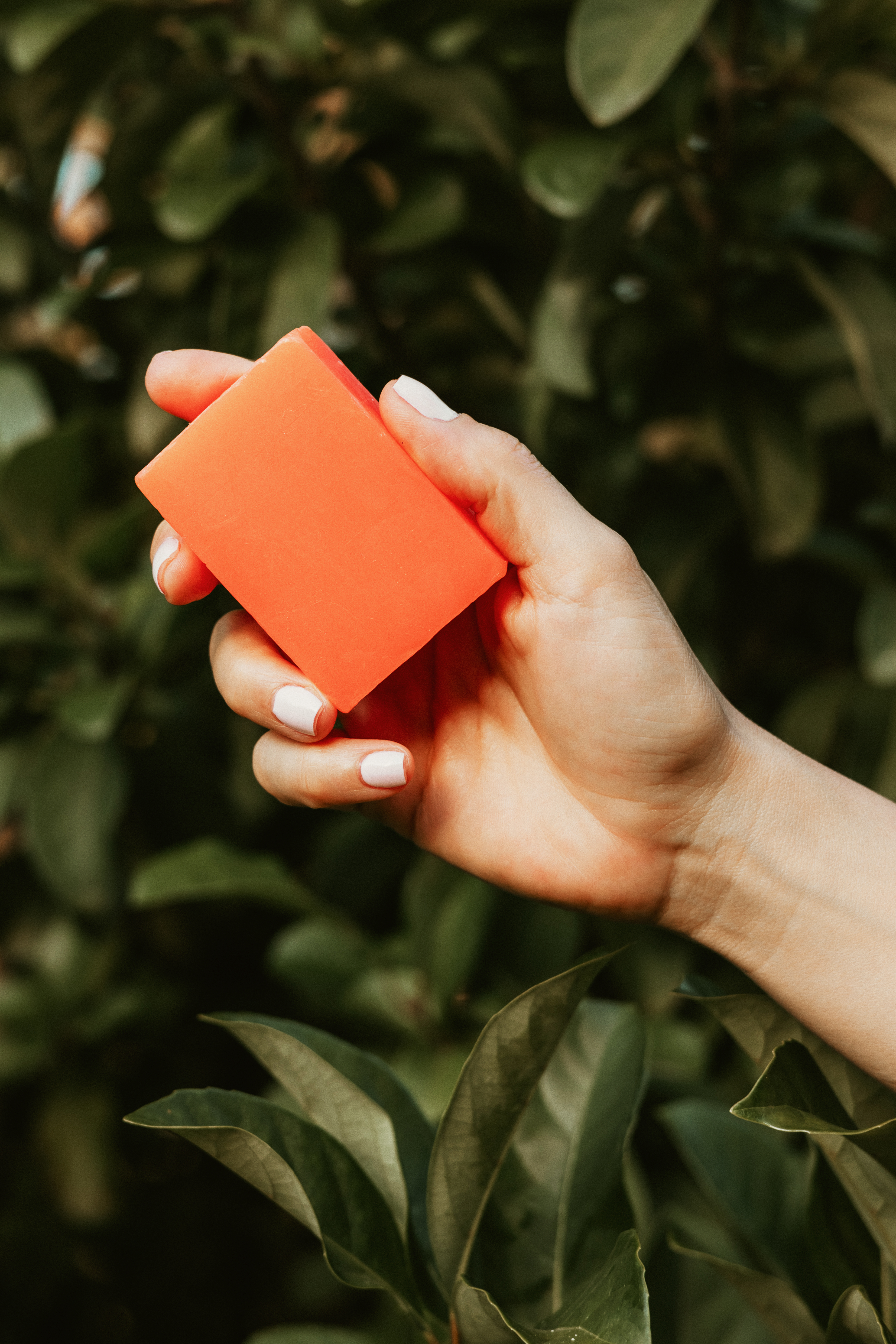 Contigo Kojic Acid Miracle Soap