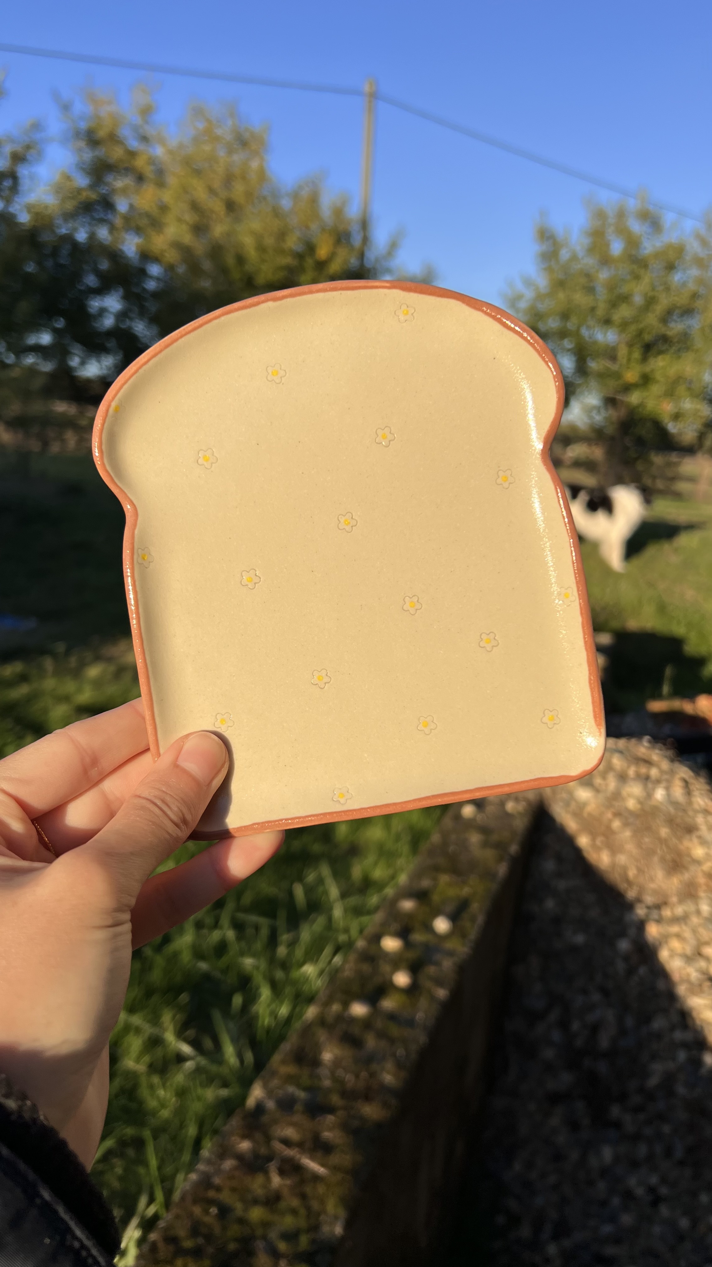 Assiette à Tartine 3