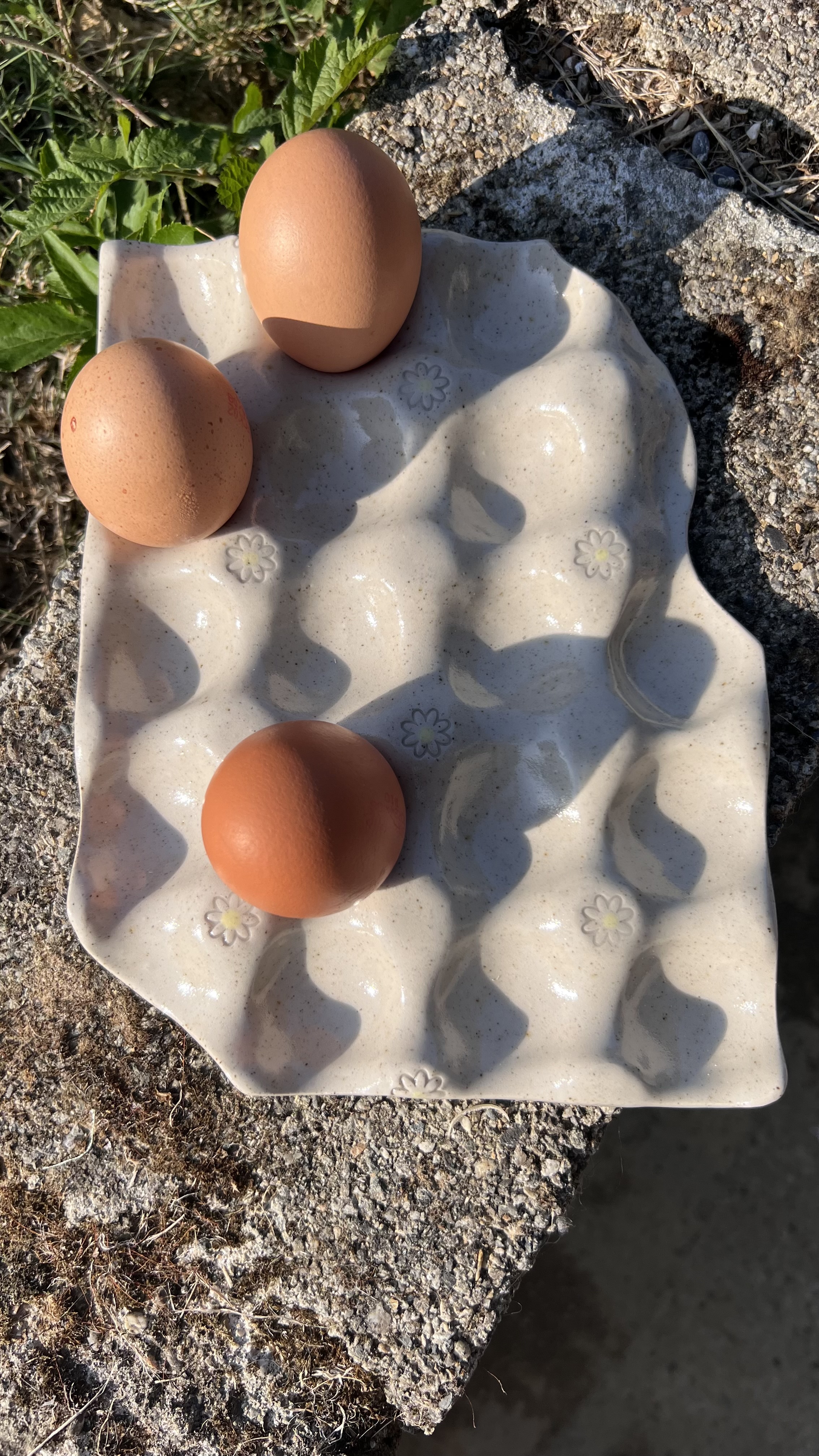 Grand support à œufs