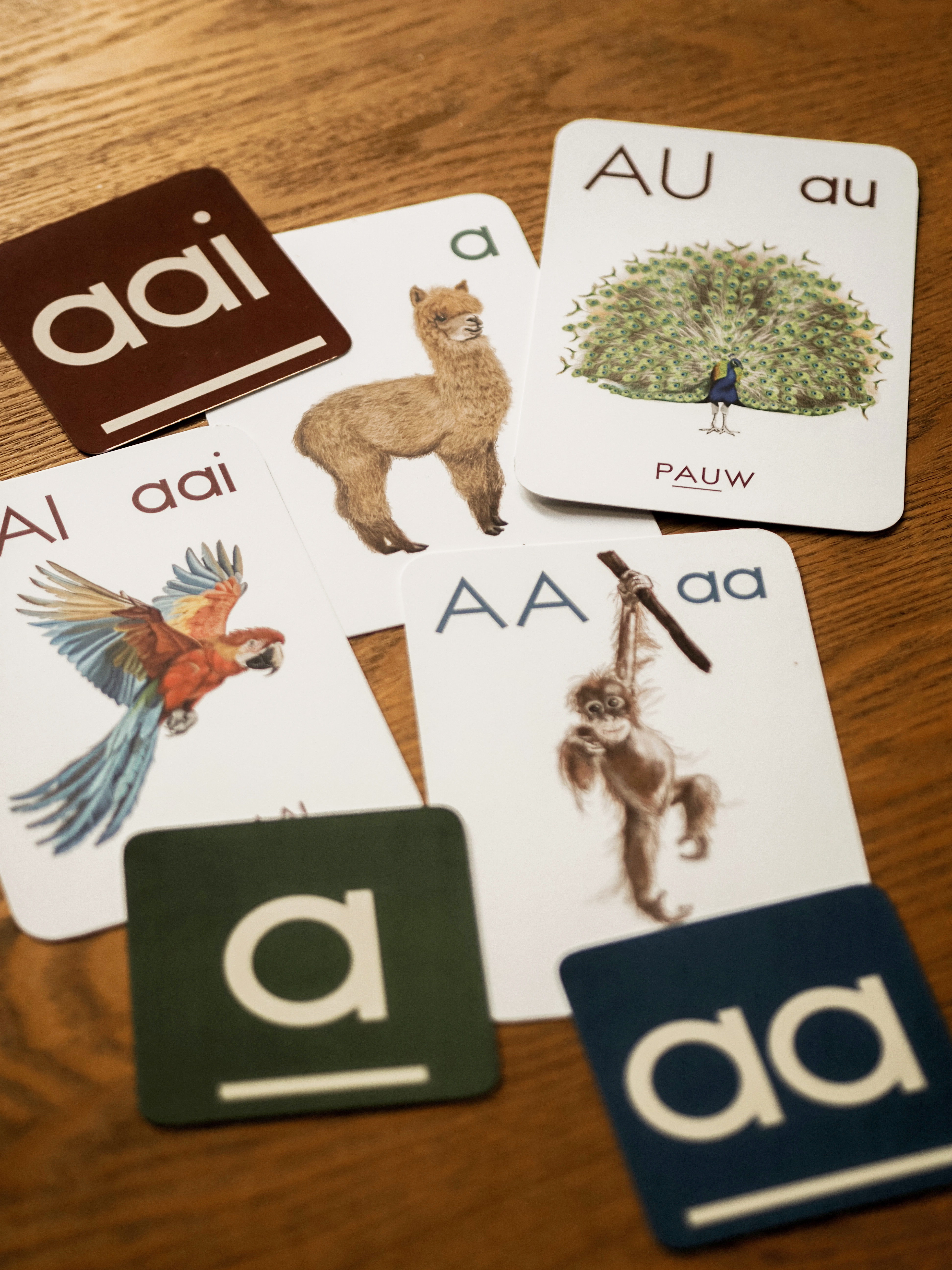 Animalia - extra set met ronde a