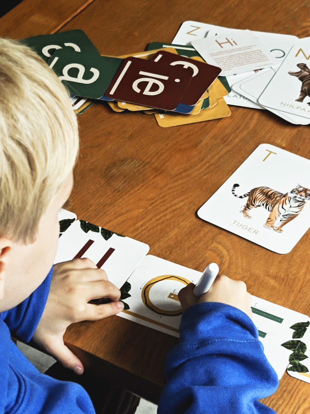 Animalia oefenkaartenset + whiteboardstift