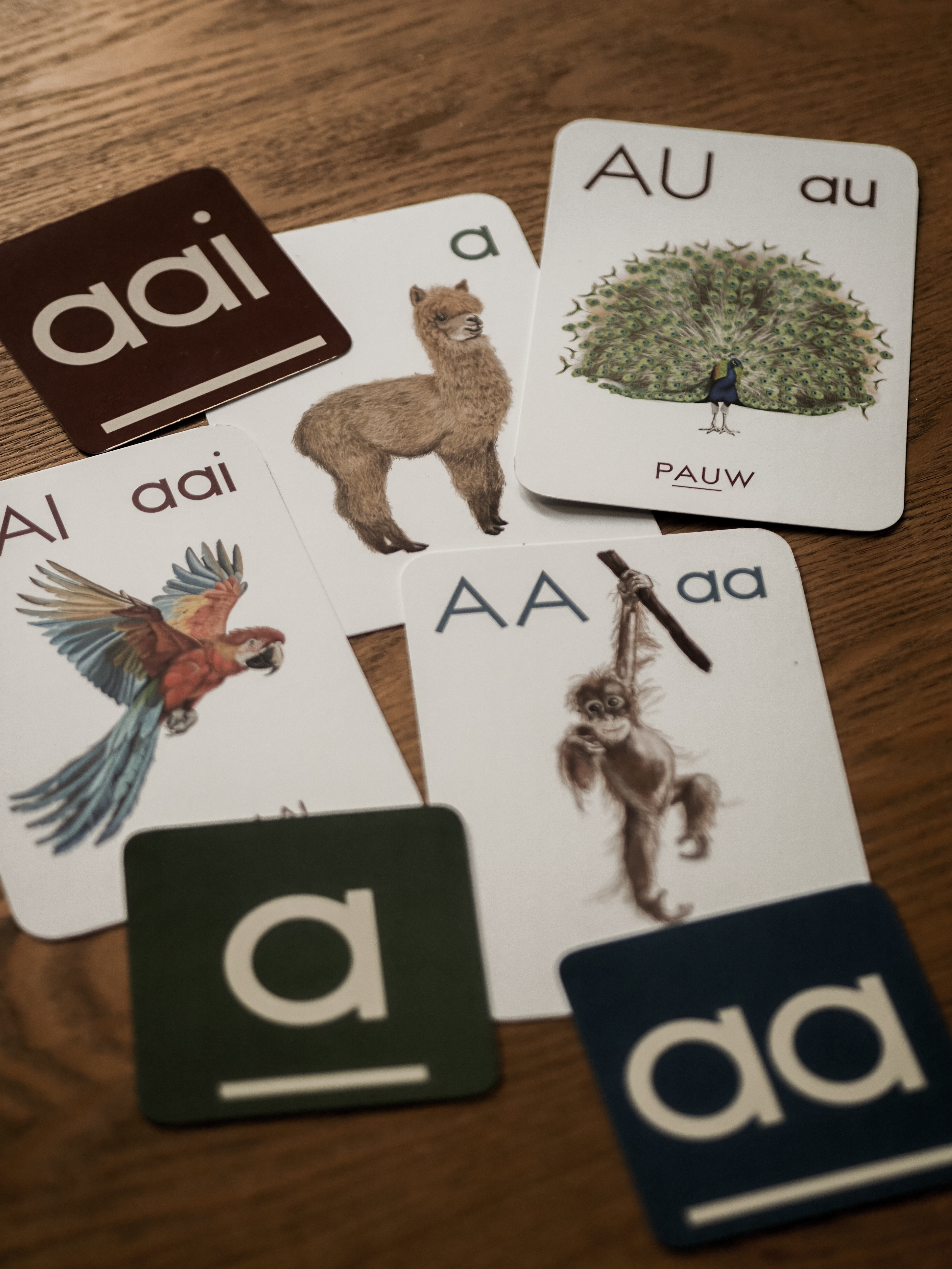 Animalia - extra set met ronde a