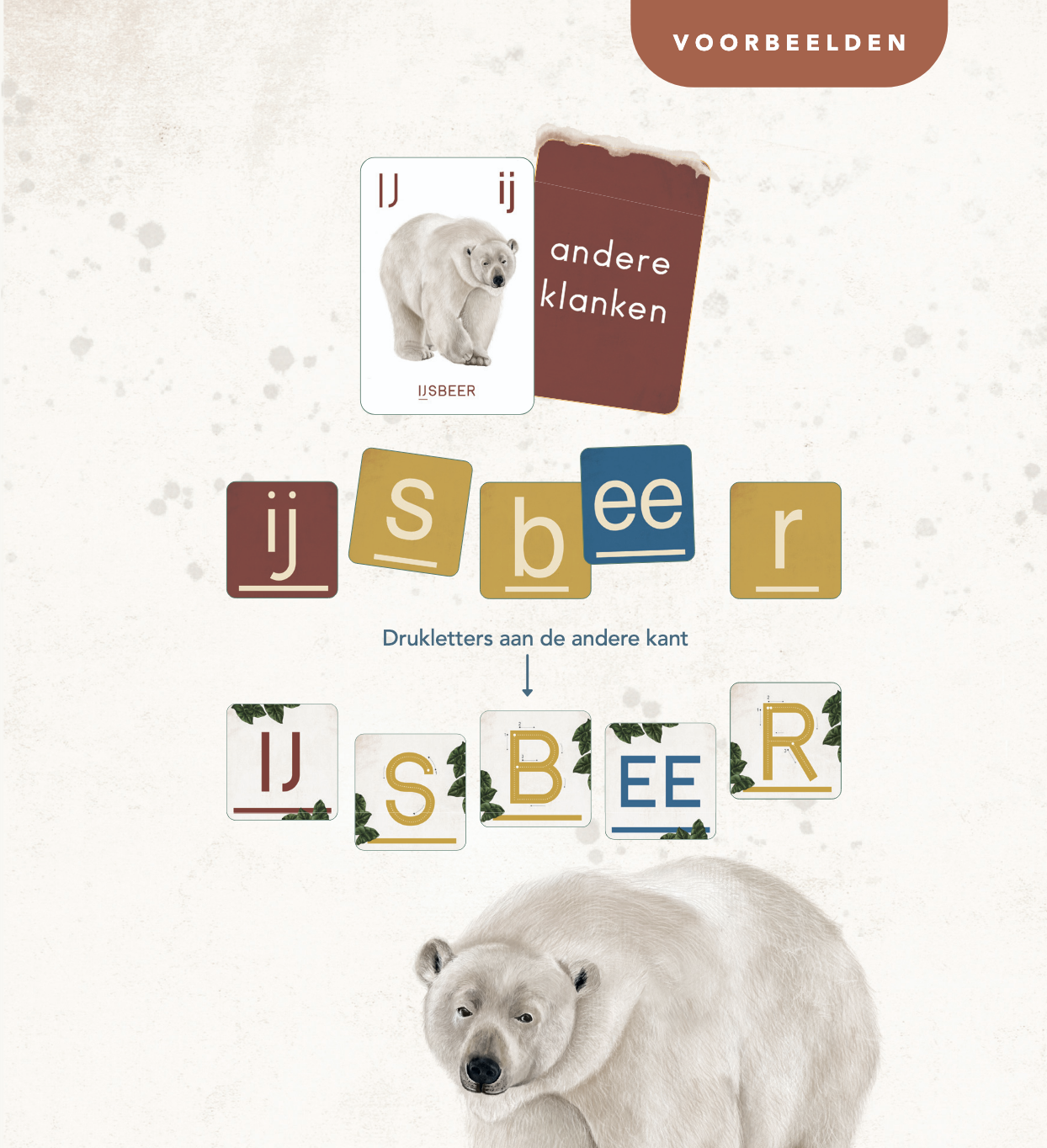 Animalia oefenkaartenset + whiteboardstift