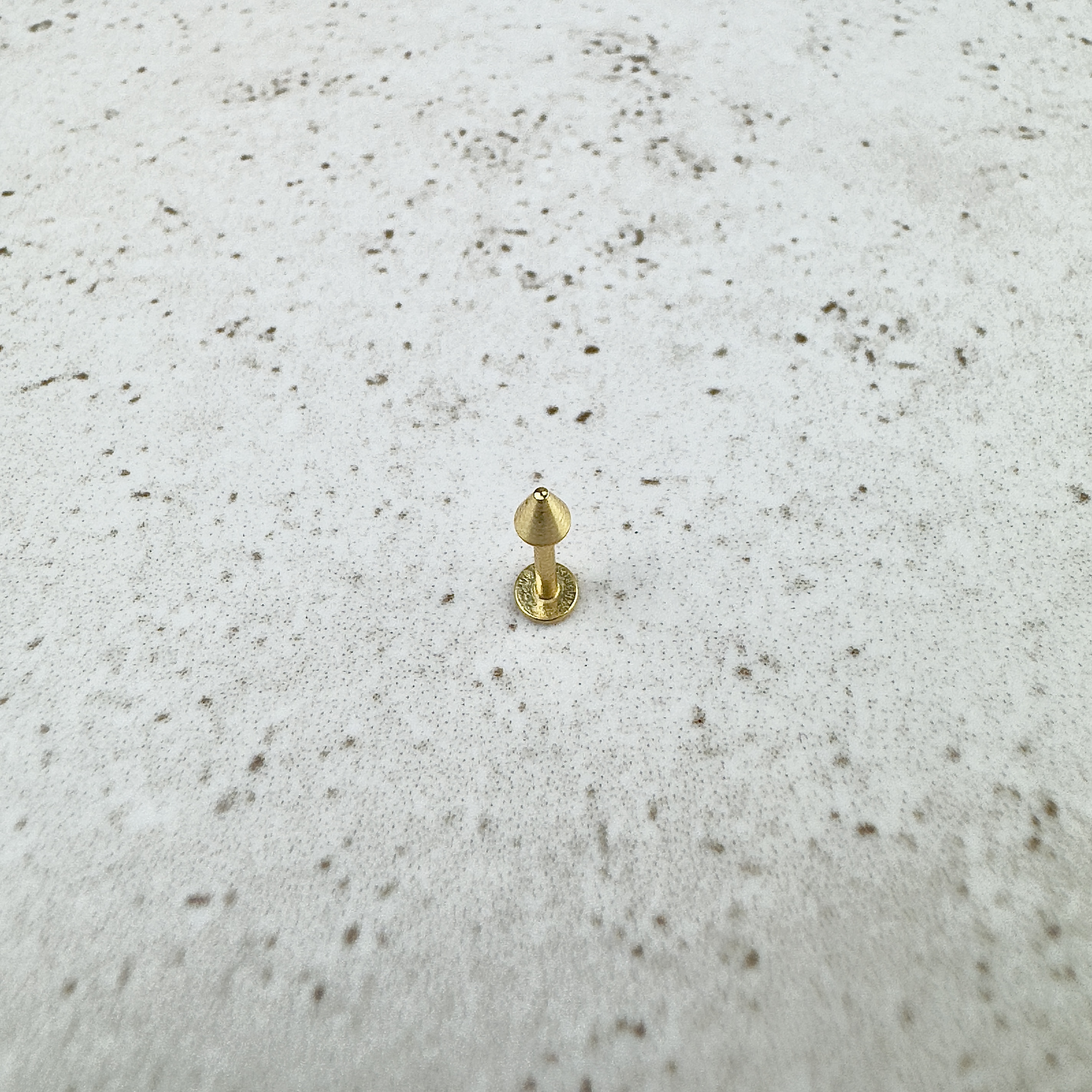 Pirsingo auskaras Spike