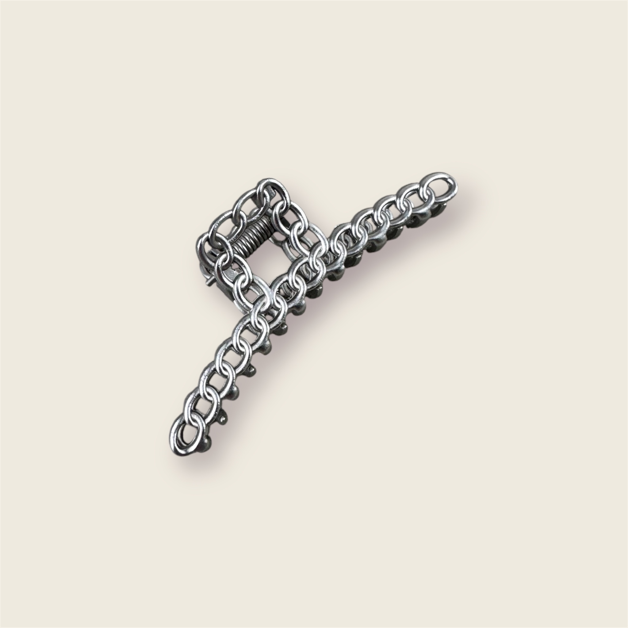 Plaukų segtukas Charm
