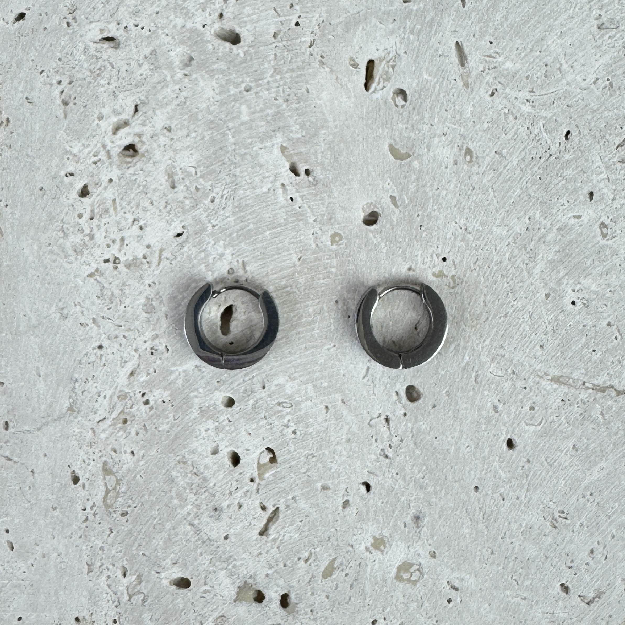 Auskarai Polar Light