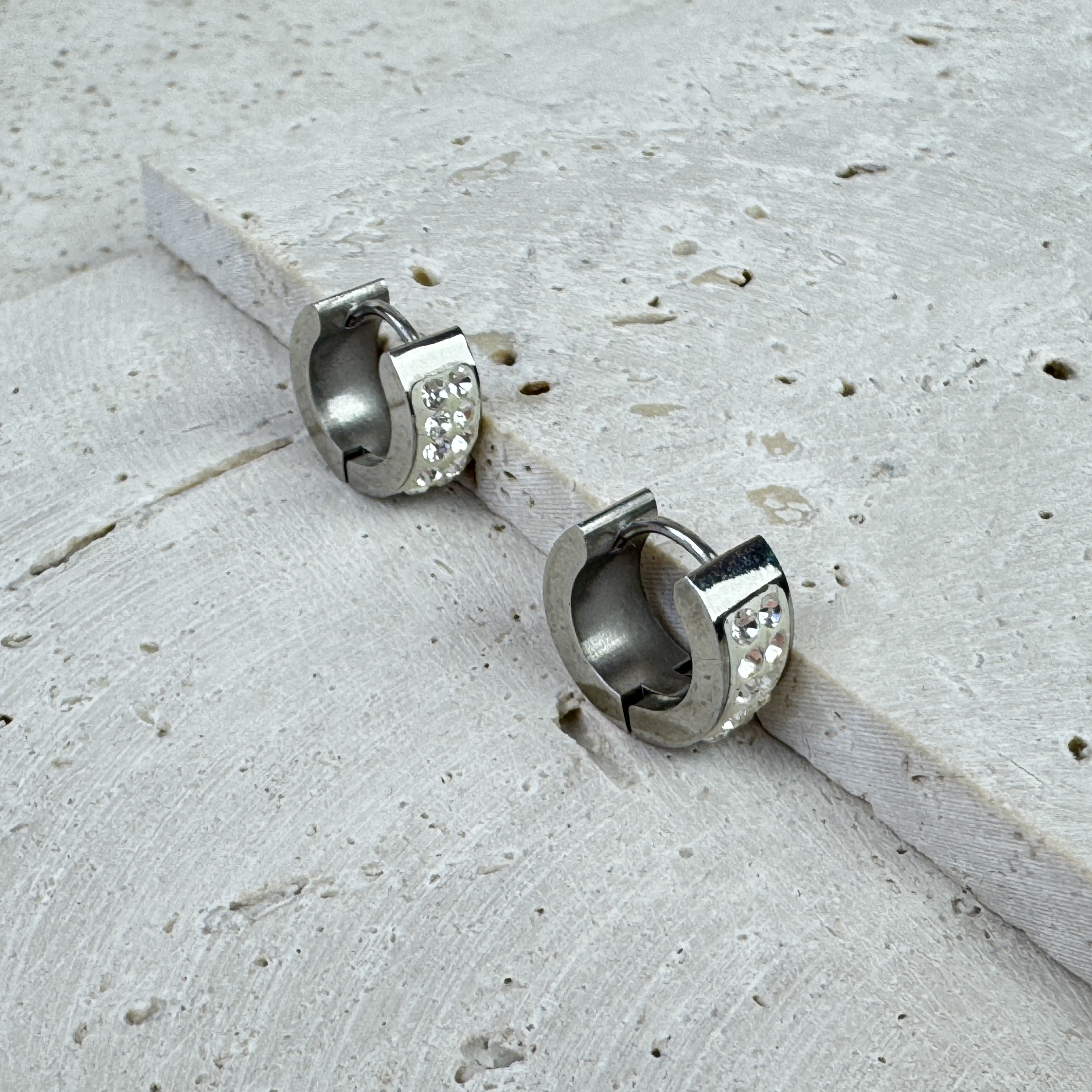 Auskarai Polar Light