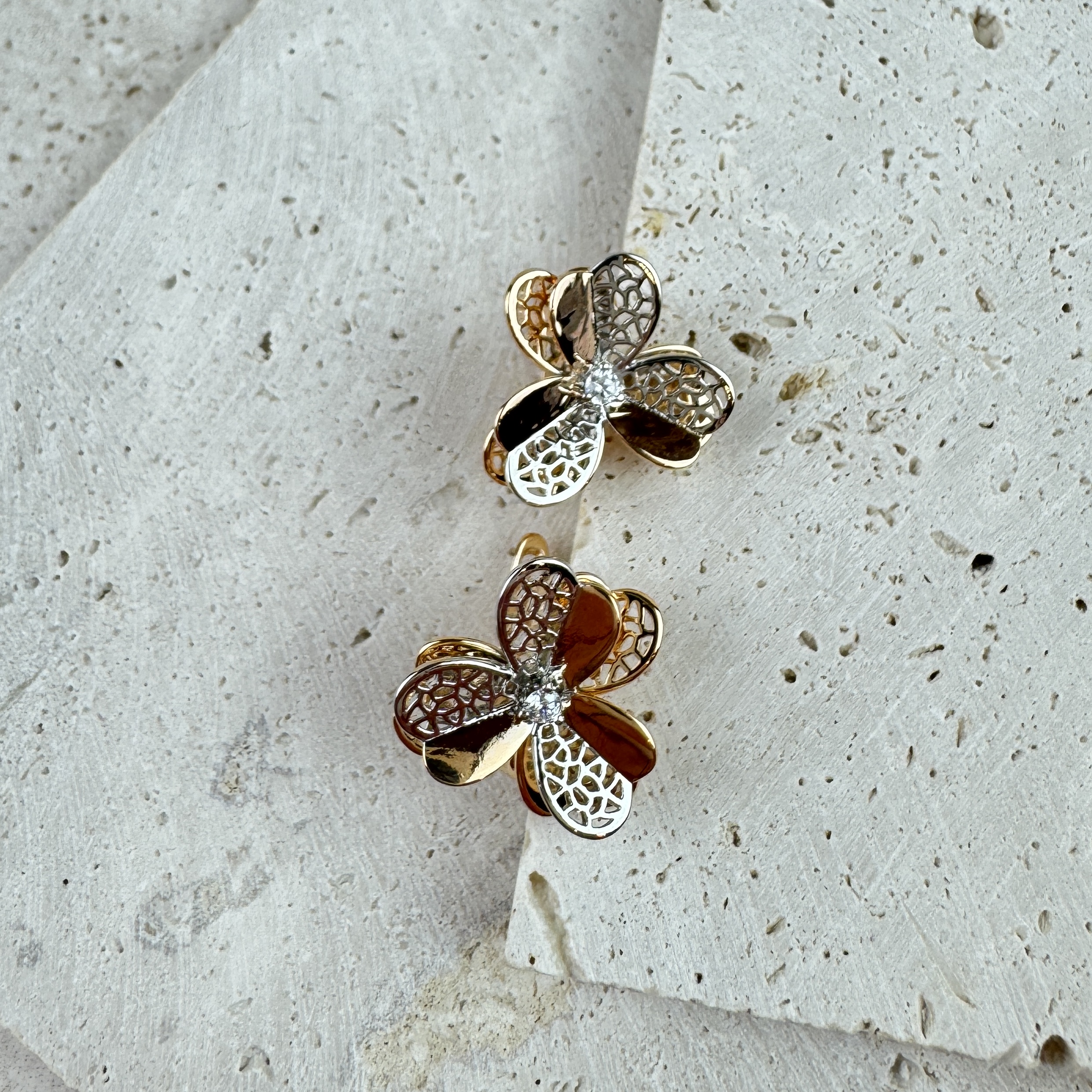 Auskarai Šviesos Širdis