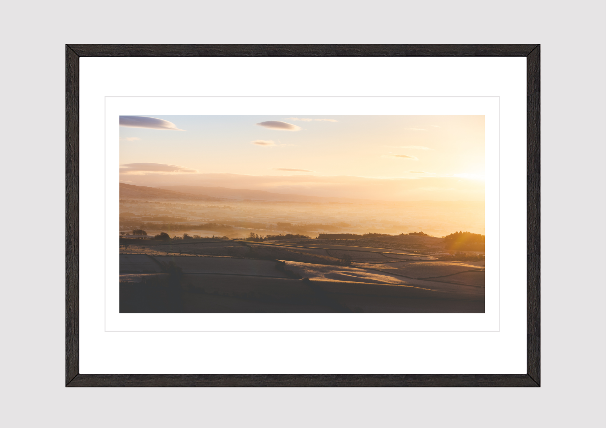 Iced Sunrise