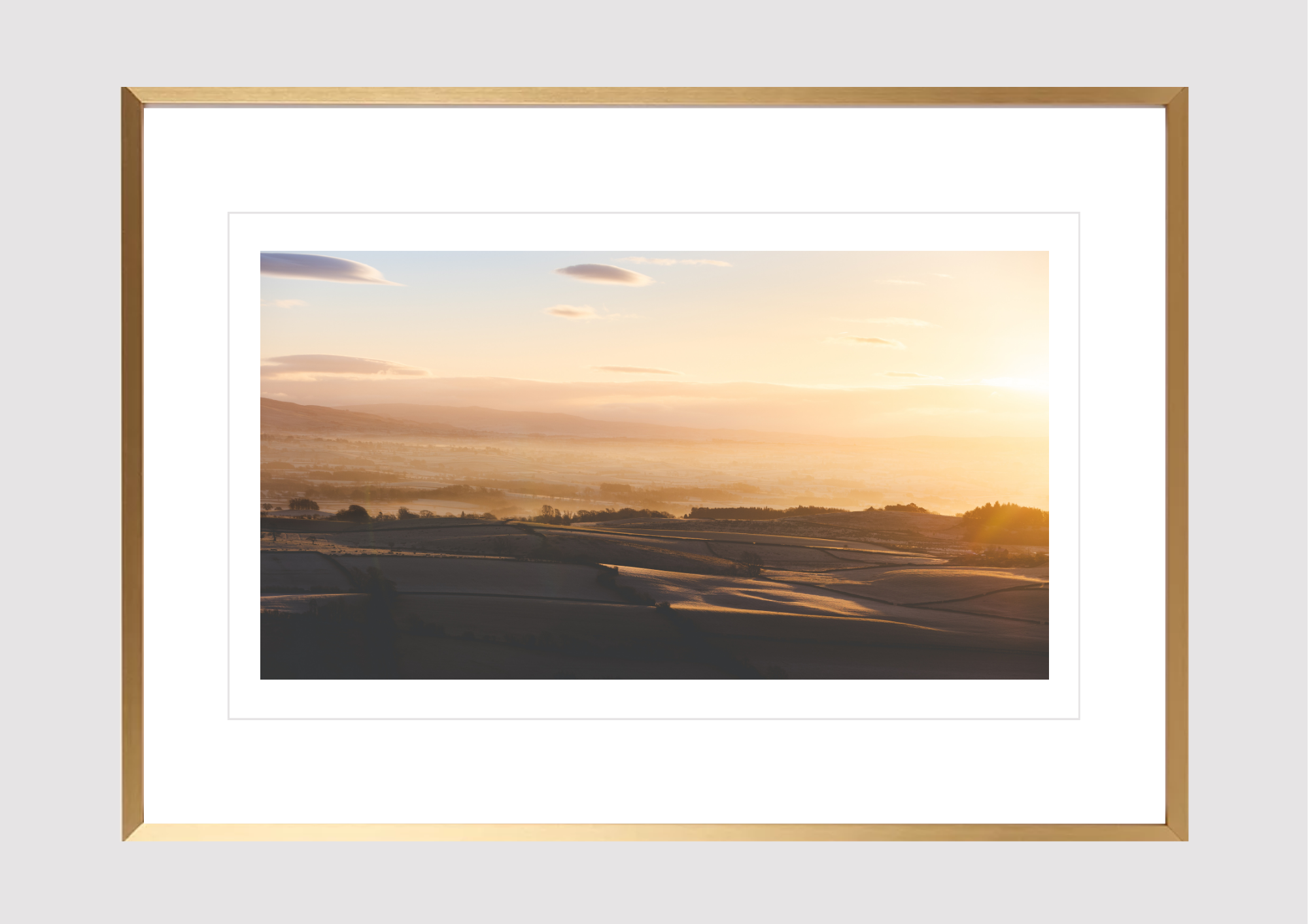 Iced Sunrise