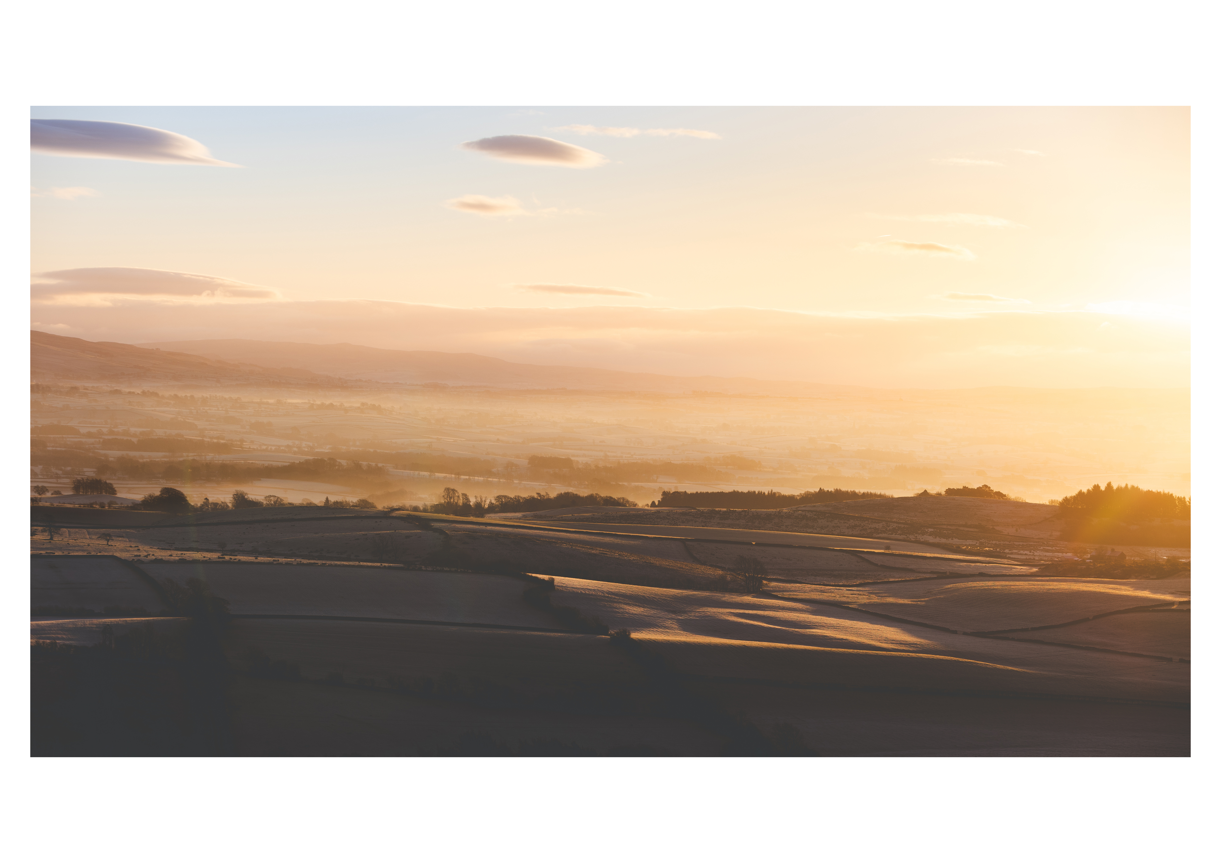 Iced Sunrise
