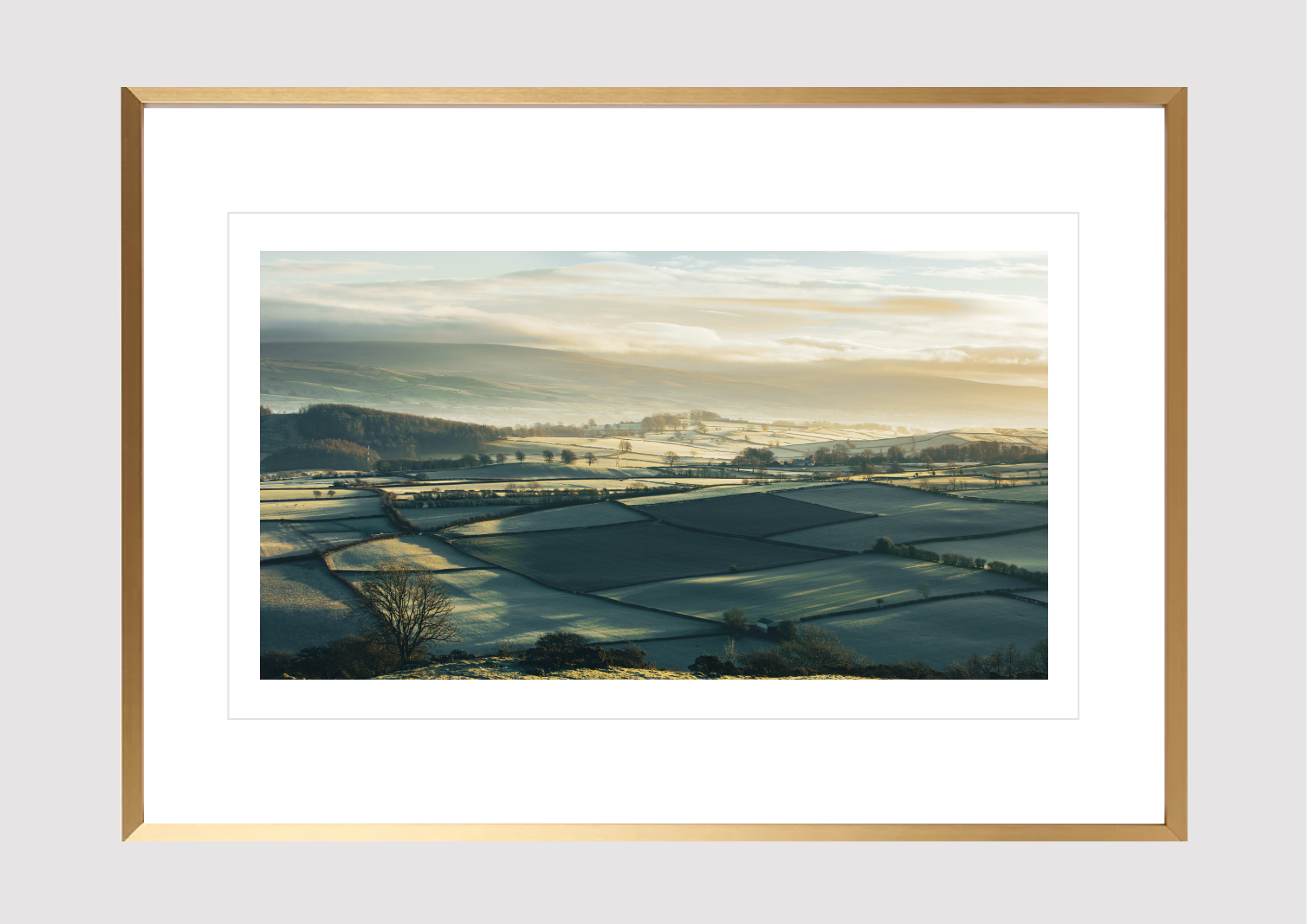 Golden Fog