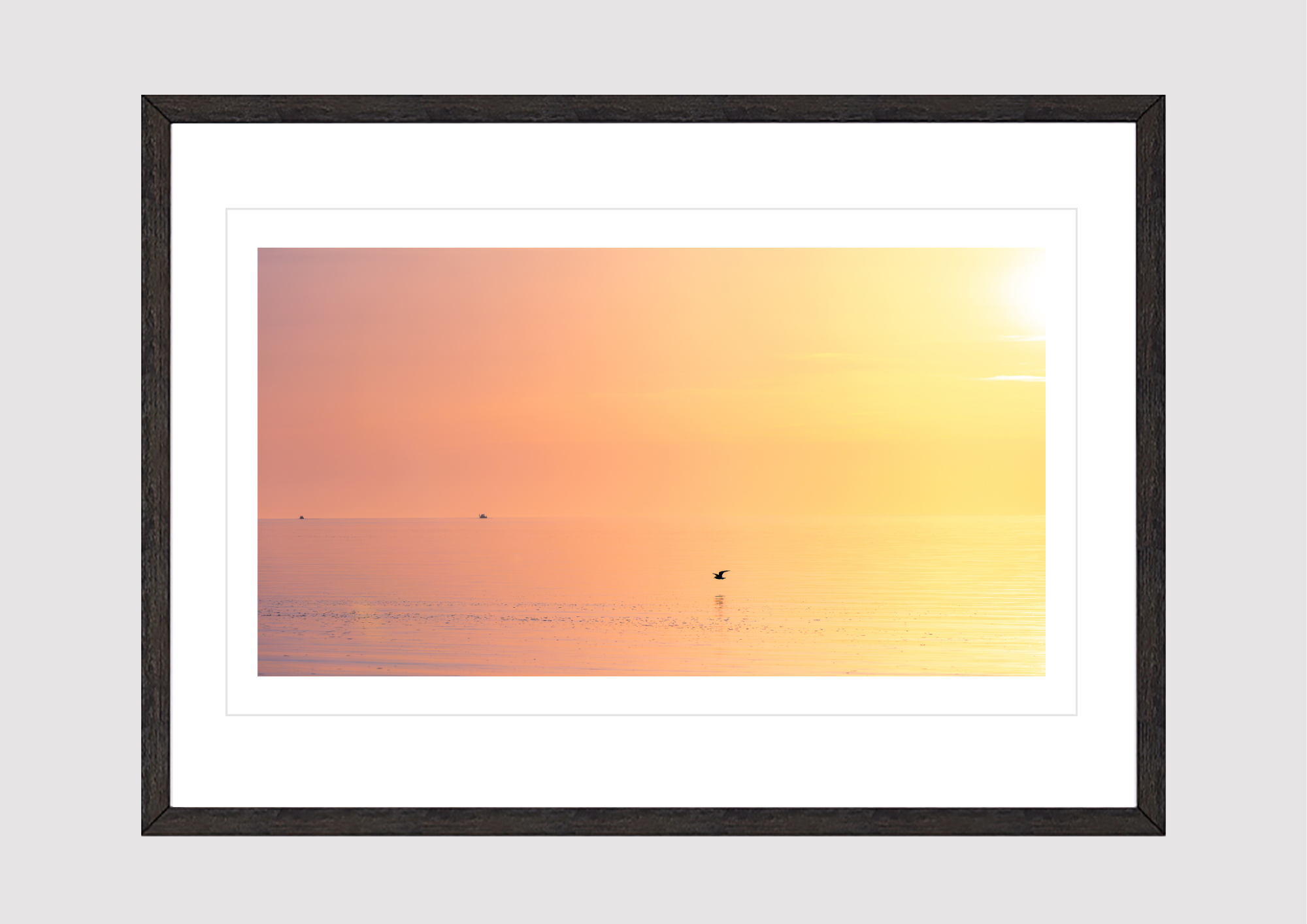 Sunset Skimming