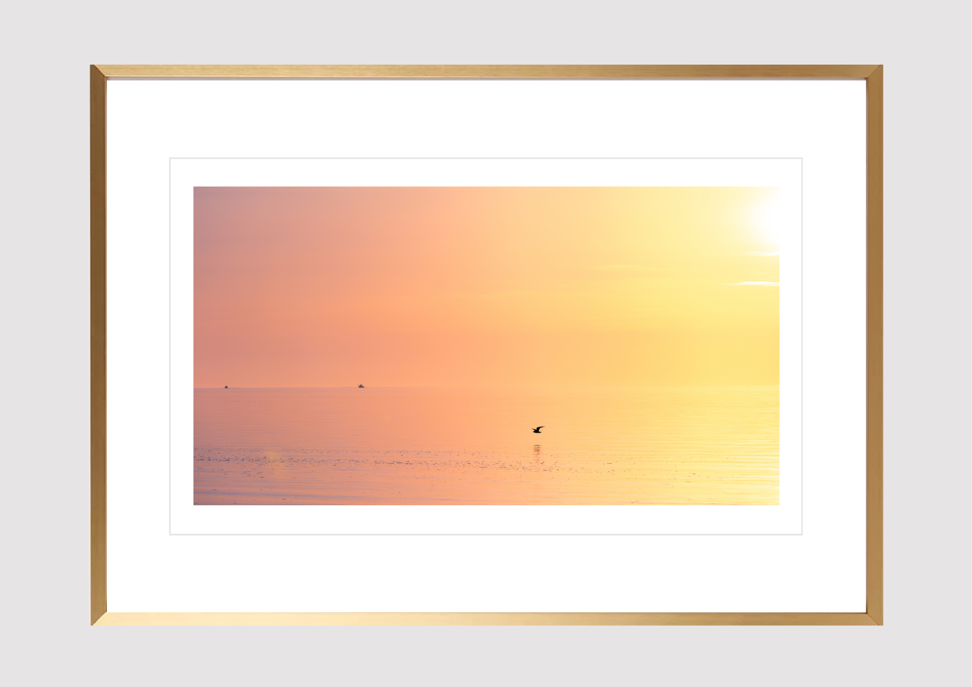 Sunset Skimming