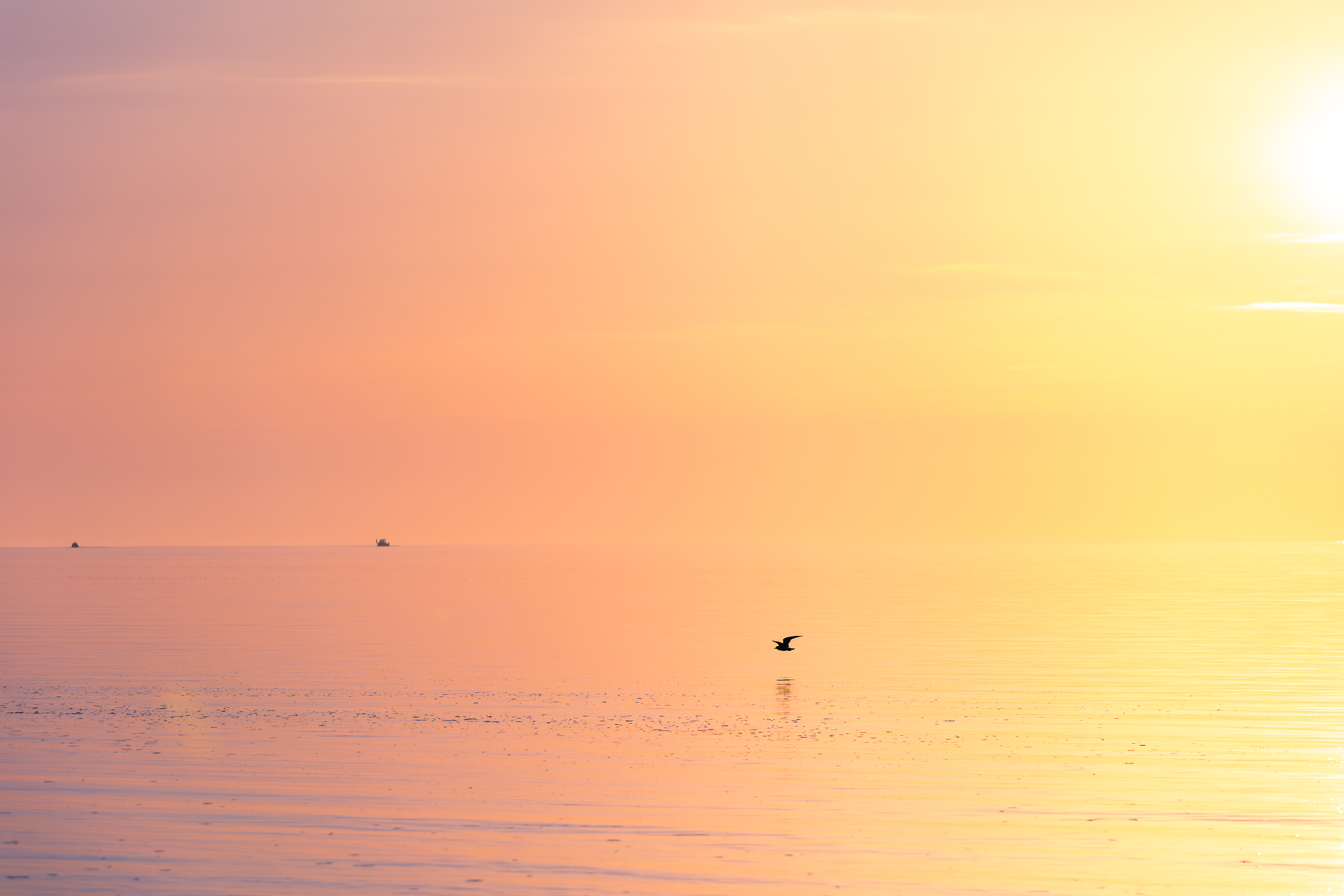 Sunset Skimming